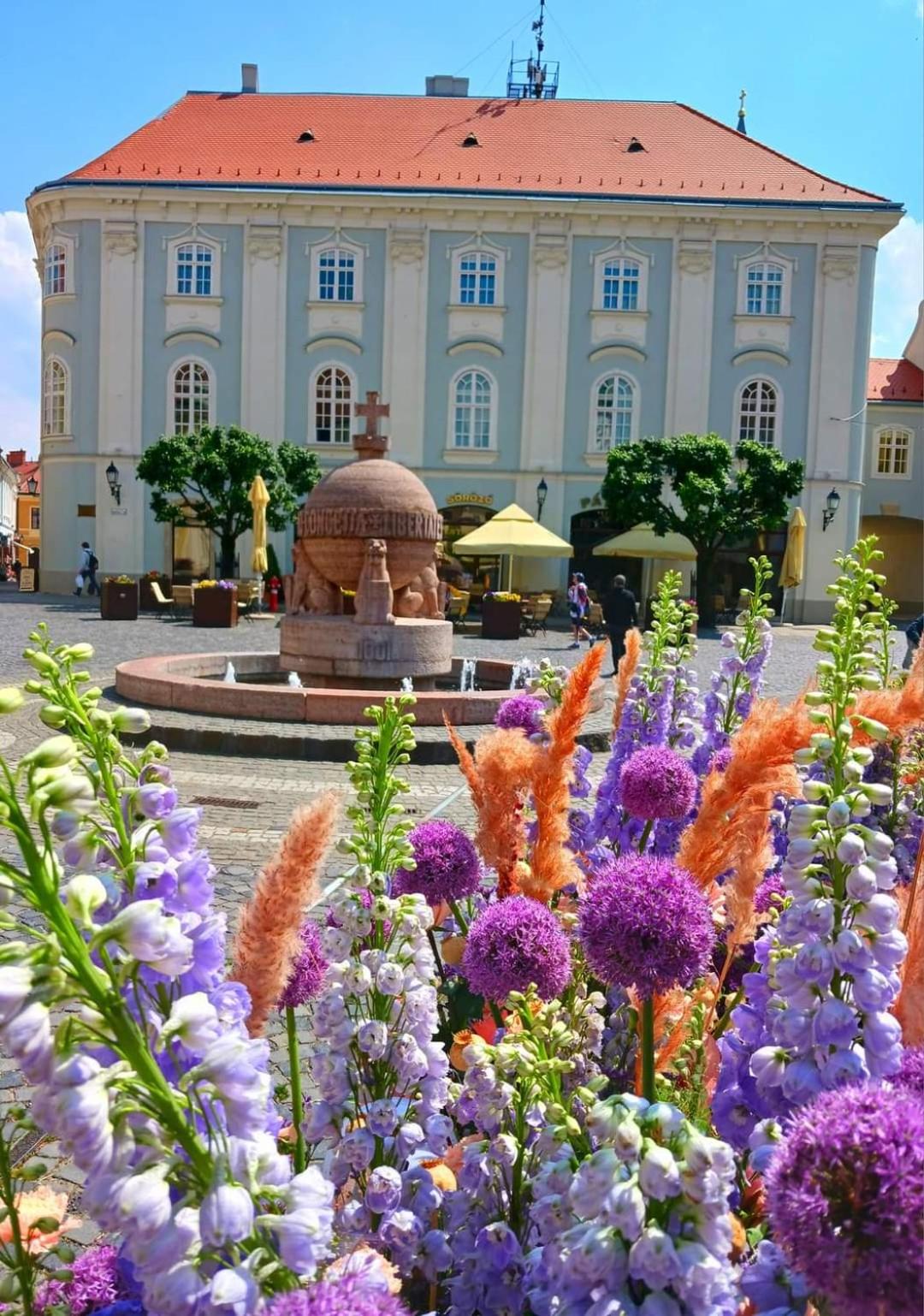 Fehérvár Cappuccino apartman City center, AC, Easy Parking
