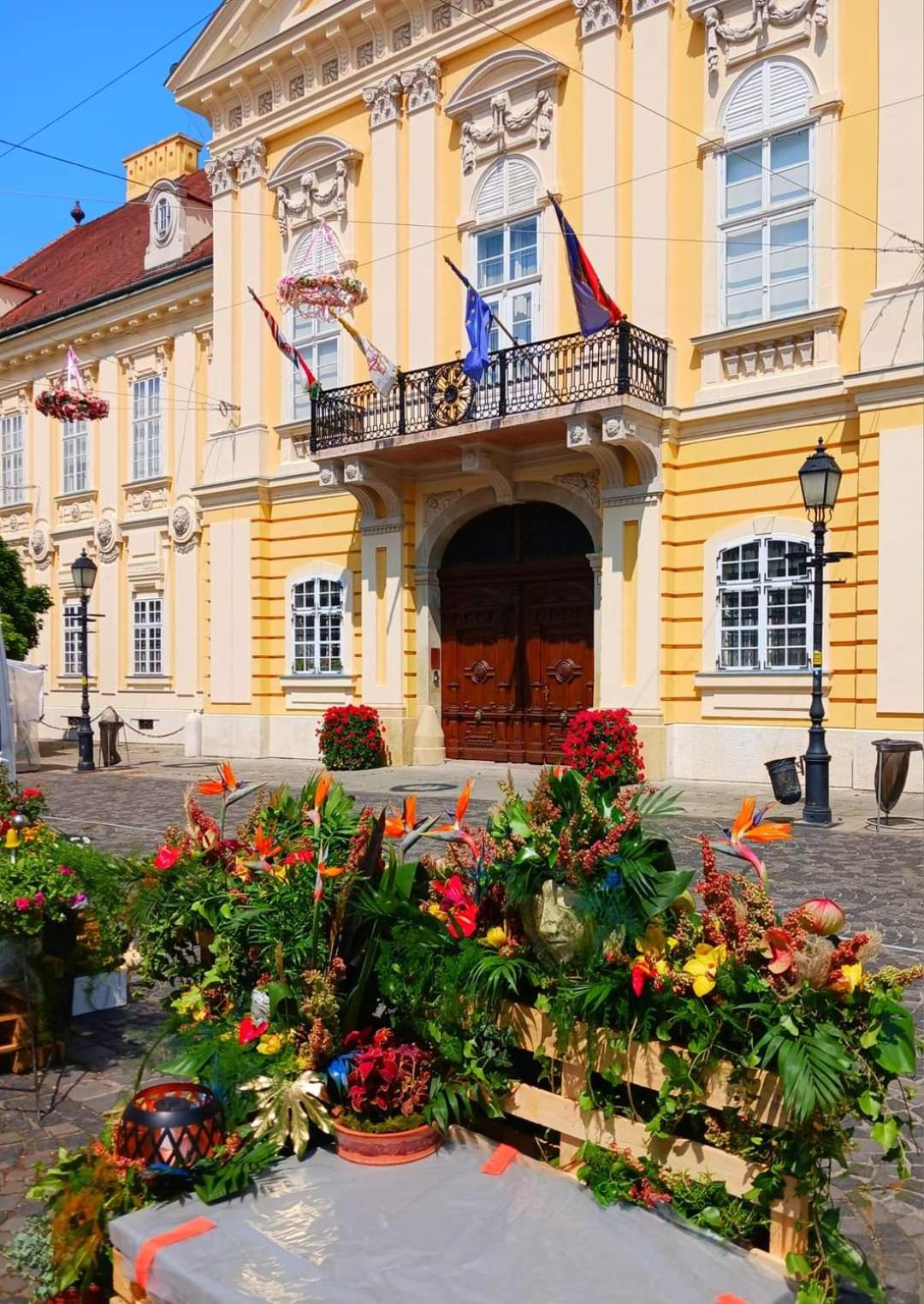 Fehérvár Cappuccino apartman City center, AC, Easy Parking