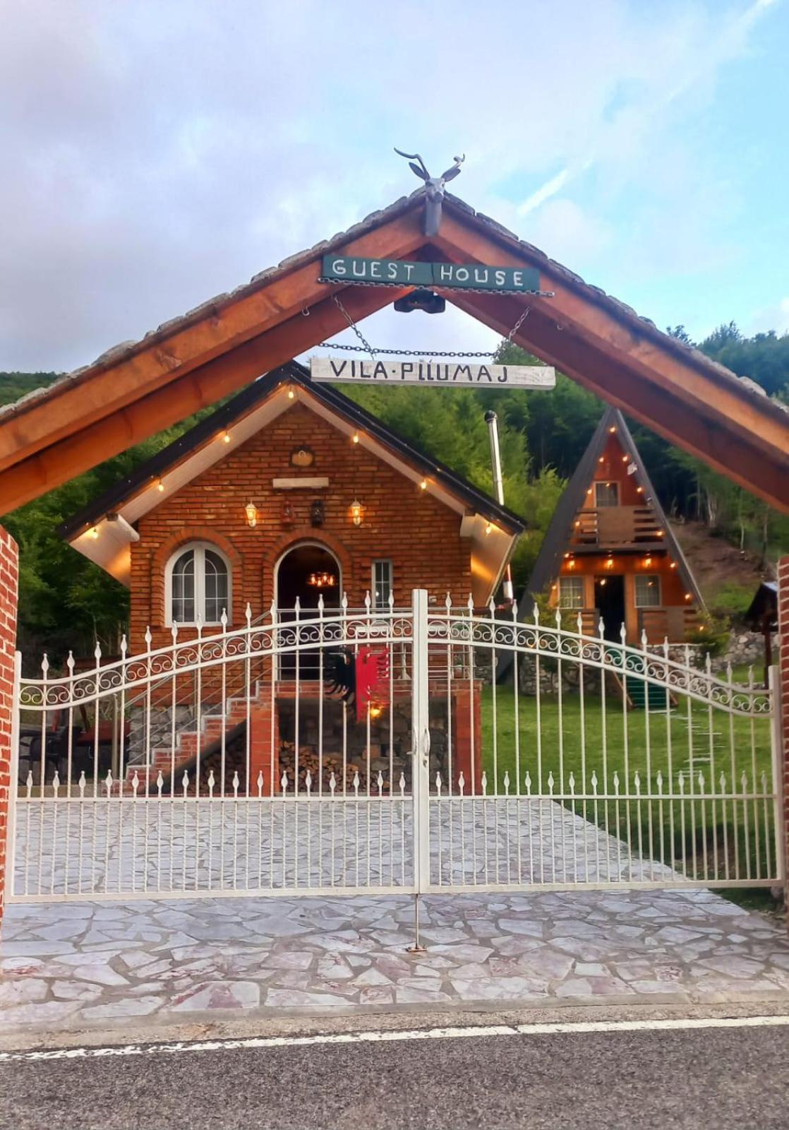 Vilat Pllumaj
