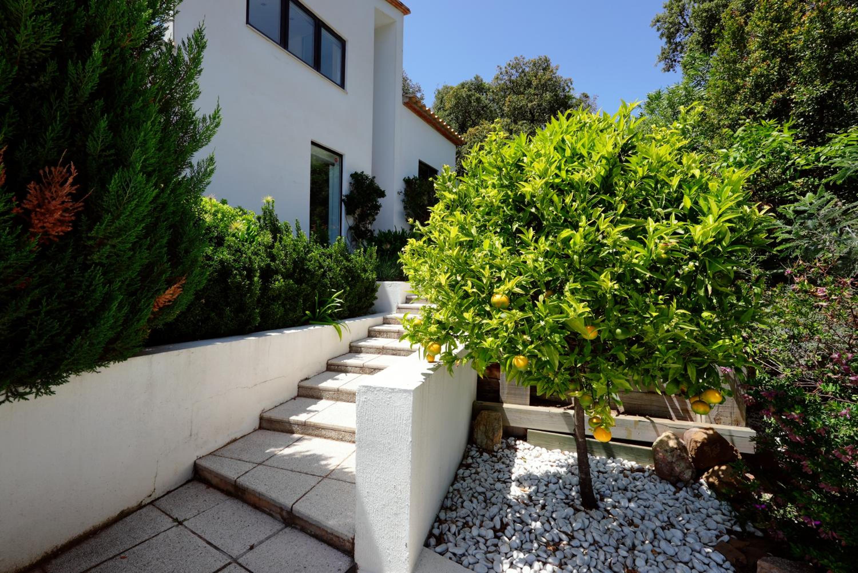 Villa Gregal