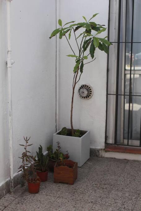 Casa muy cómoda y luminosa