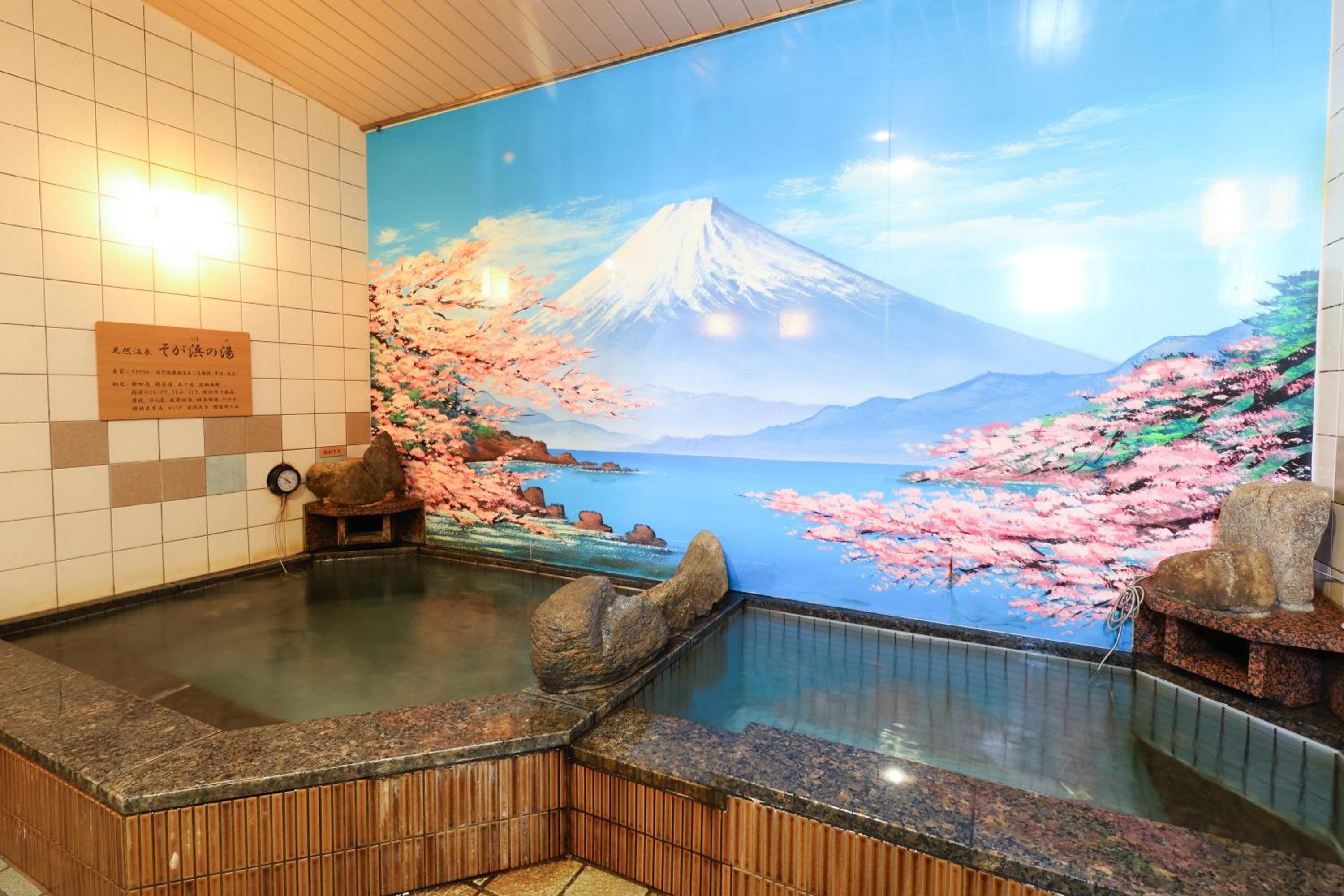 Dormy Inn Chiba City Soga