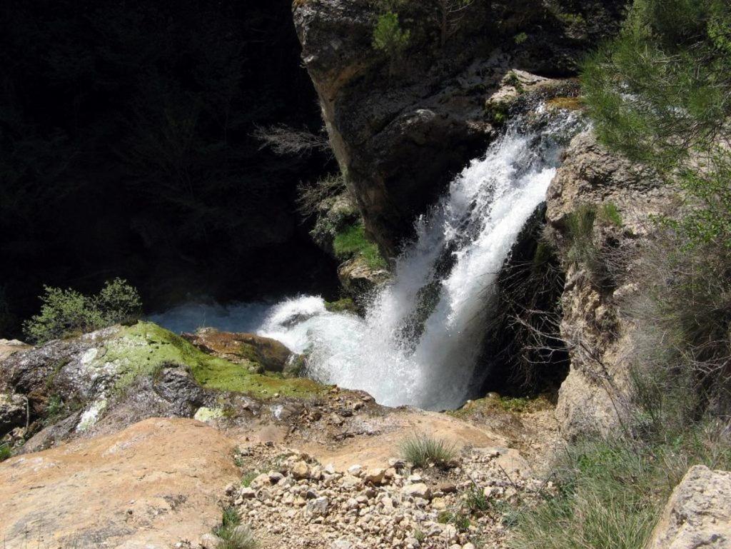 Mejorana