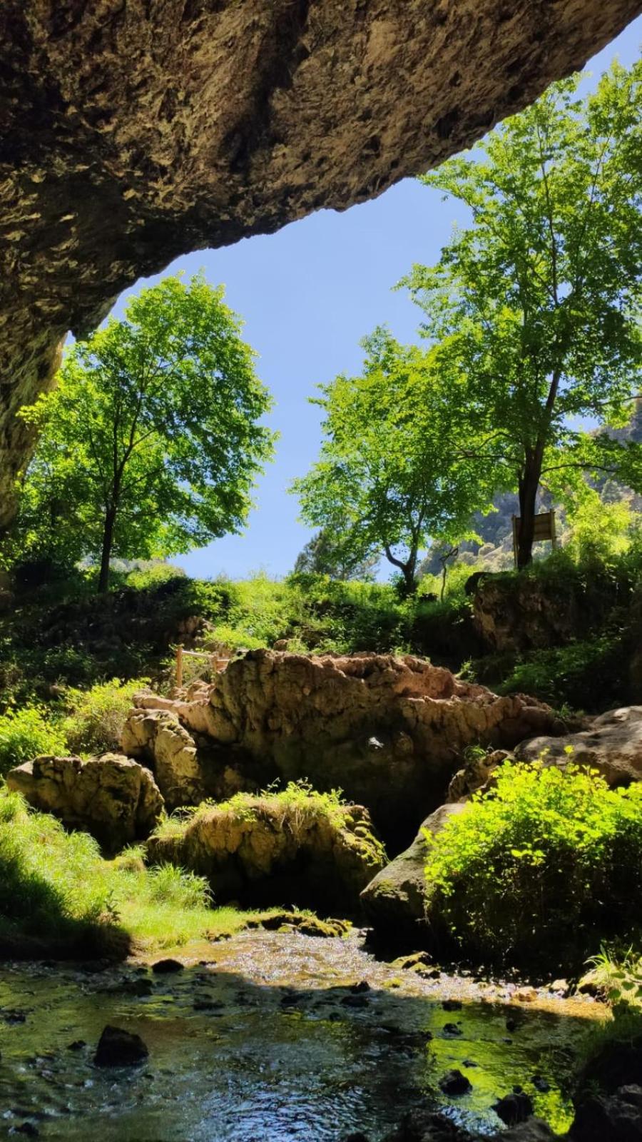 Mejorana