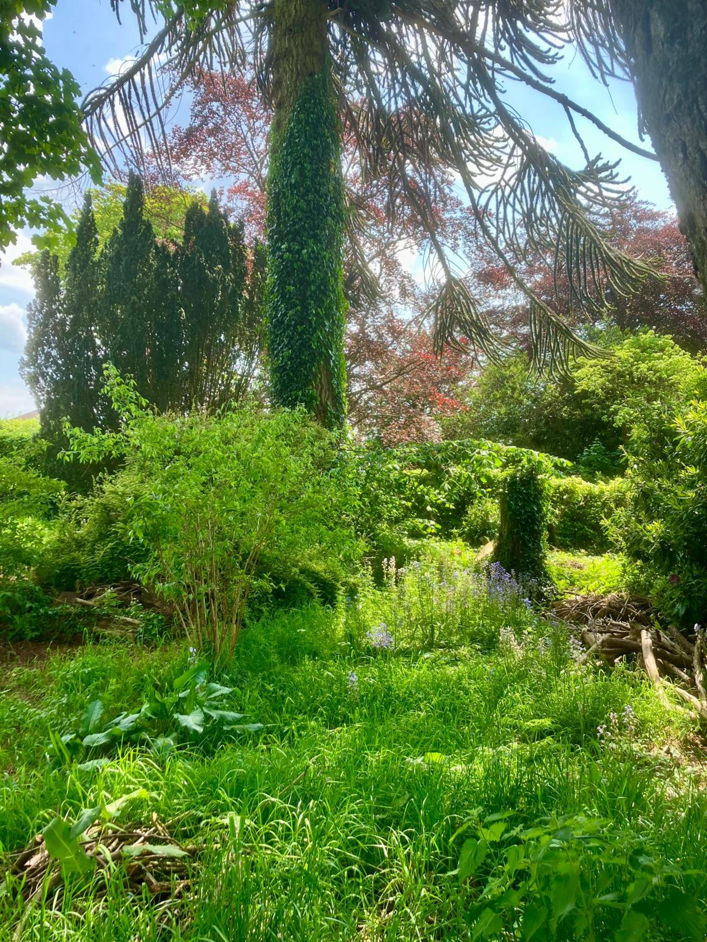 Photo 18