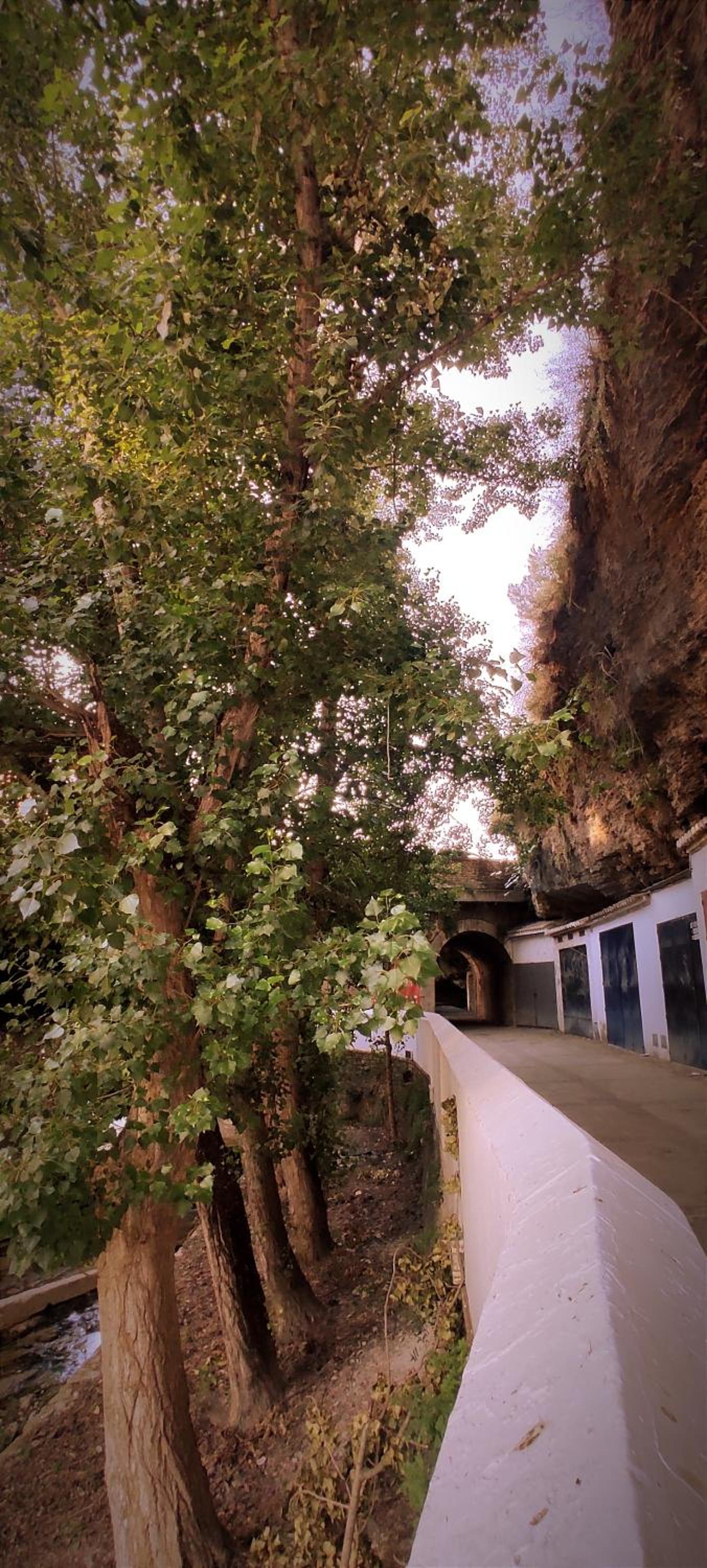 Casa Cueva Las Chicas del Puente