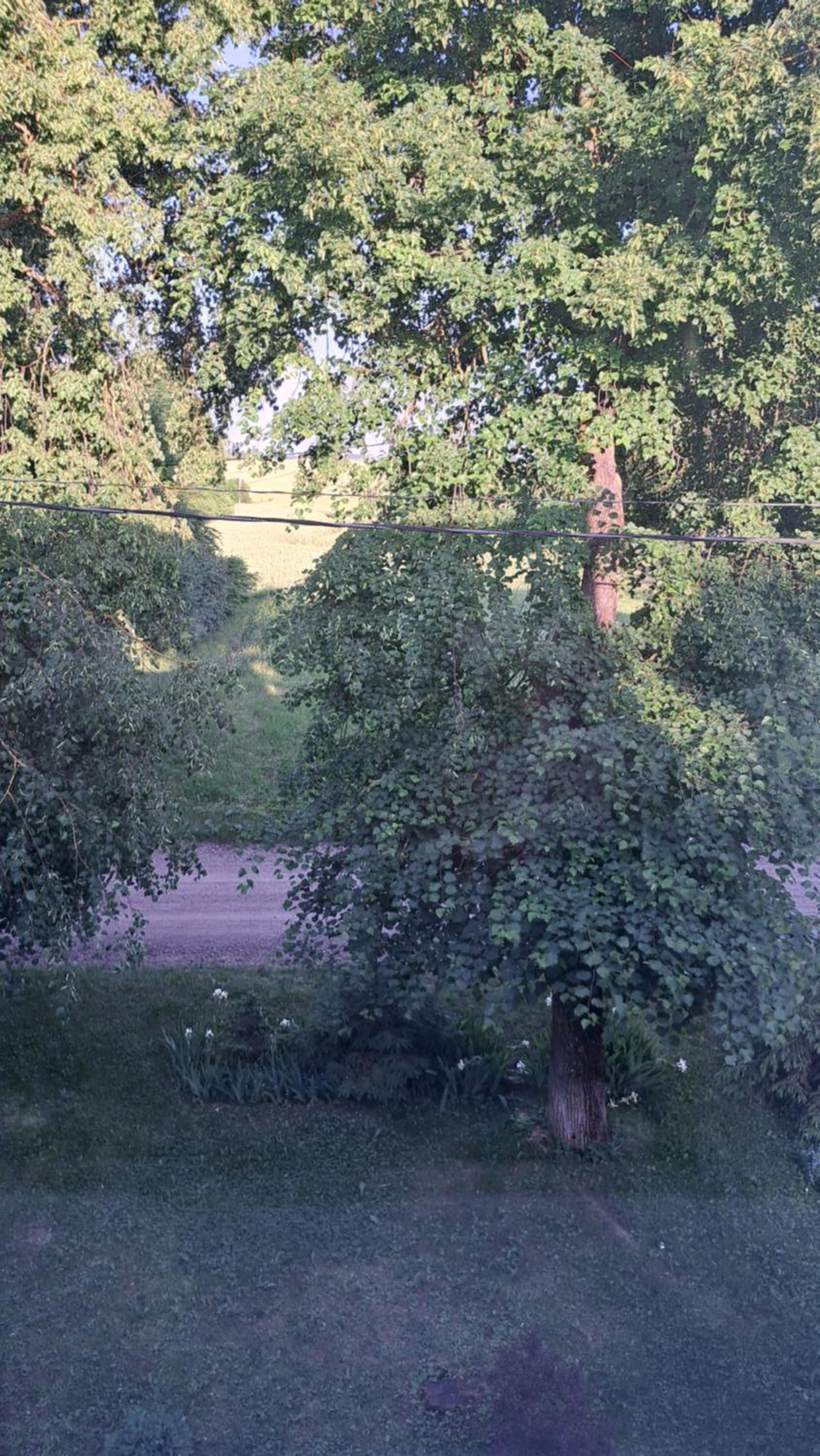 Jaukaus buto nuoma Šiaulių rajone view 2