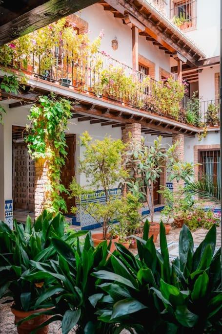 Apartamento turístico en el Albaicín QH Calderería Vieja