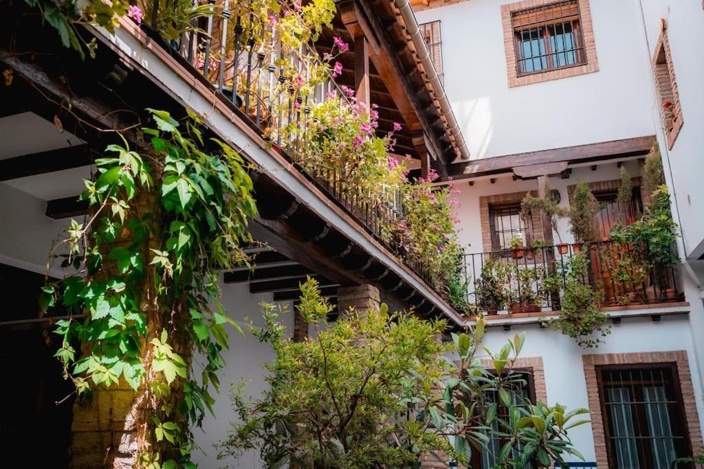 Apartamento turístico en el Albaicín QH Calderería Vieja