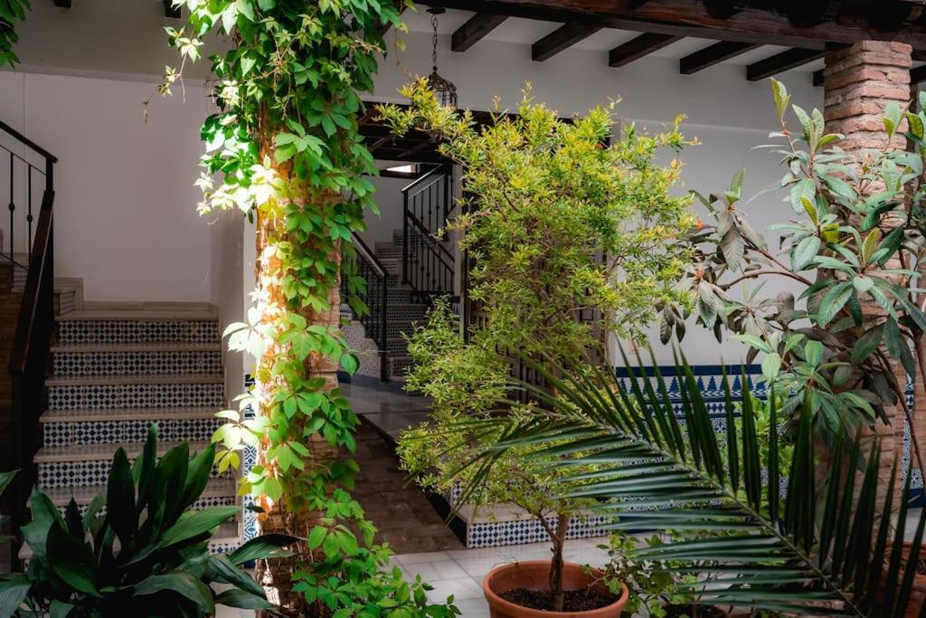 Apartamento turístico en el Albaicín QH Calderería Vieja