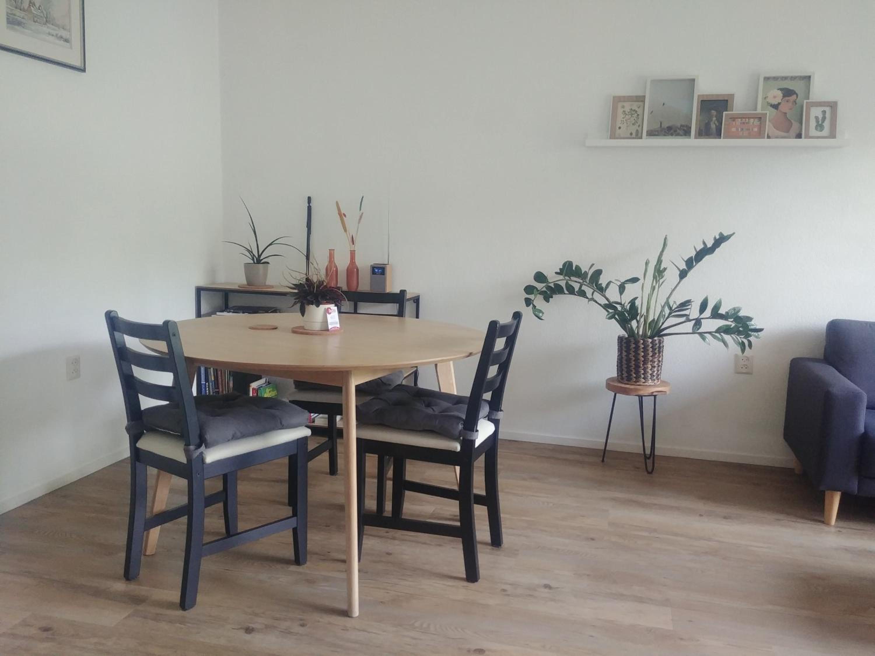 Ruim en huiselijk appartement met eigen tuin, compleet uitgerust, dichtbij natuur view 3