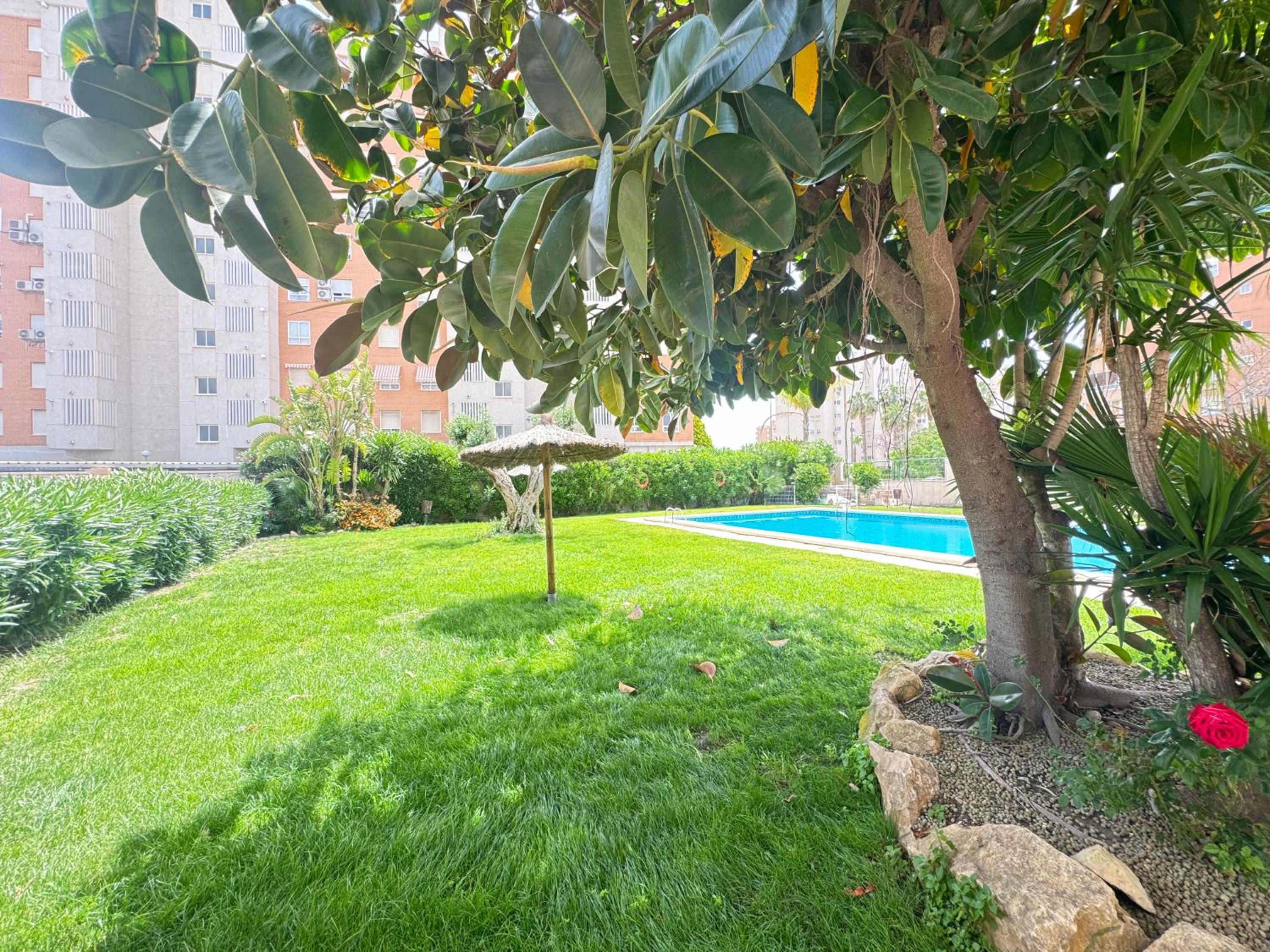 Estudio con piscina