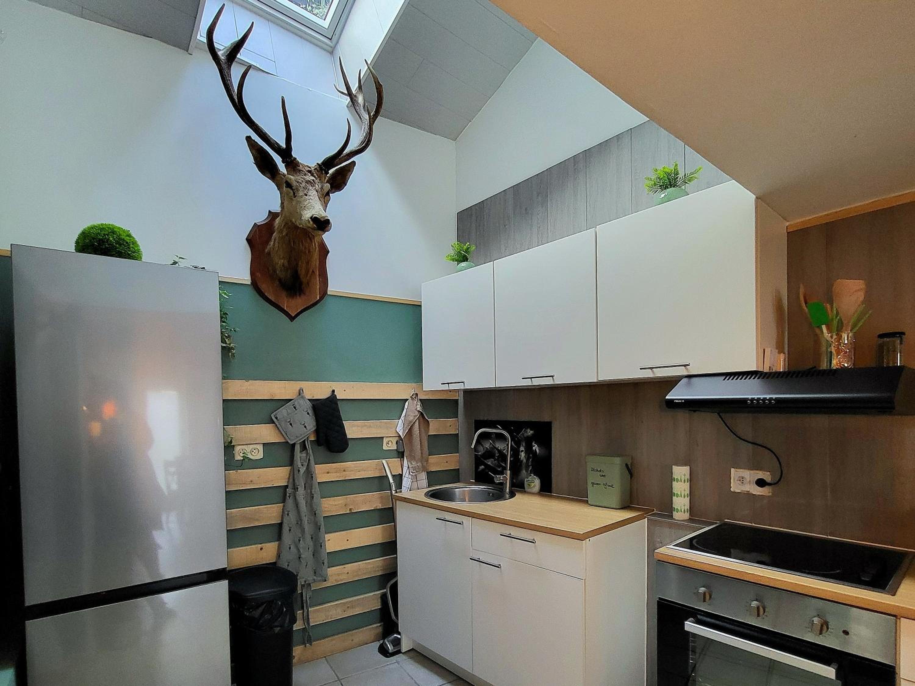 Le Grand Cerf gîte citadin