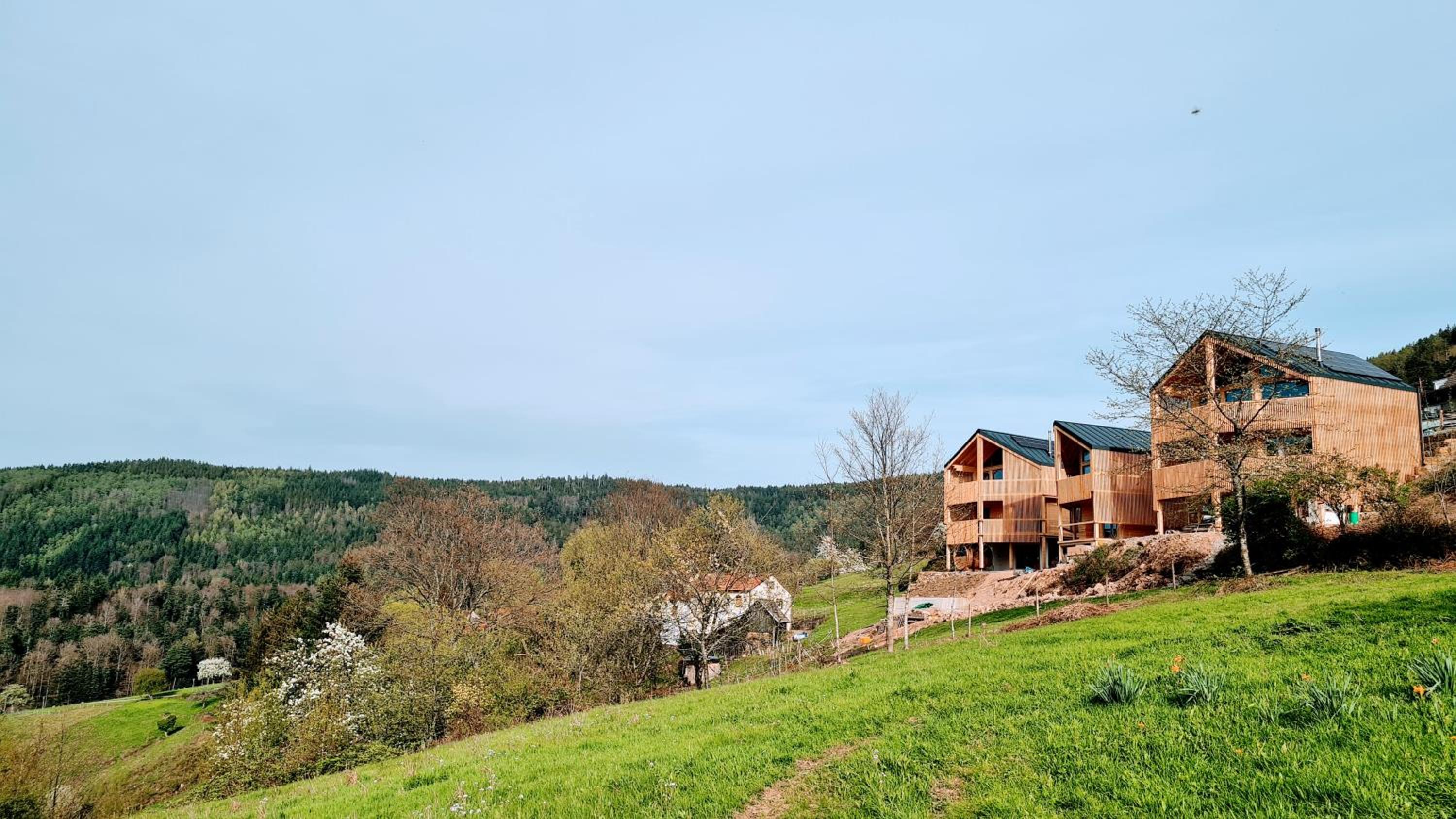 Schwarzwaldstrand Ferienwohnungen