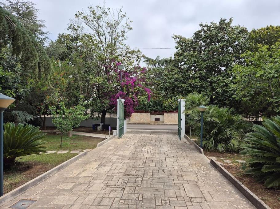 Villa Magnolia