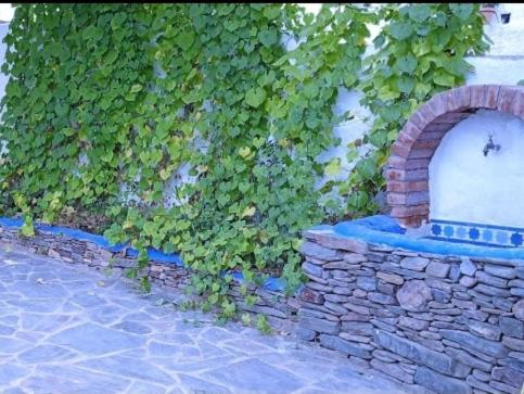 Cortijo Rural Andalusí