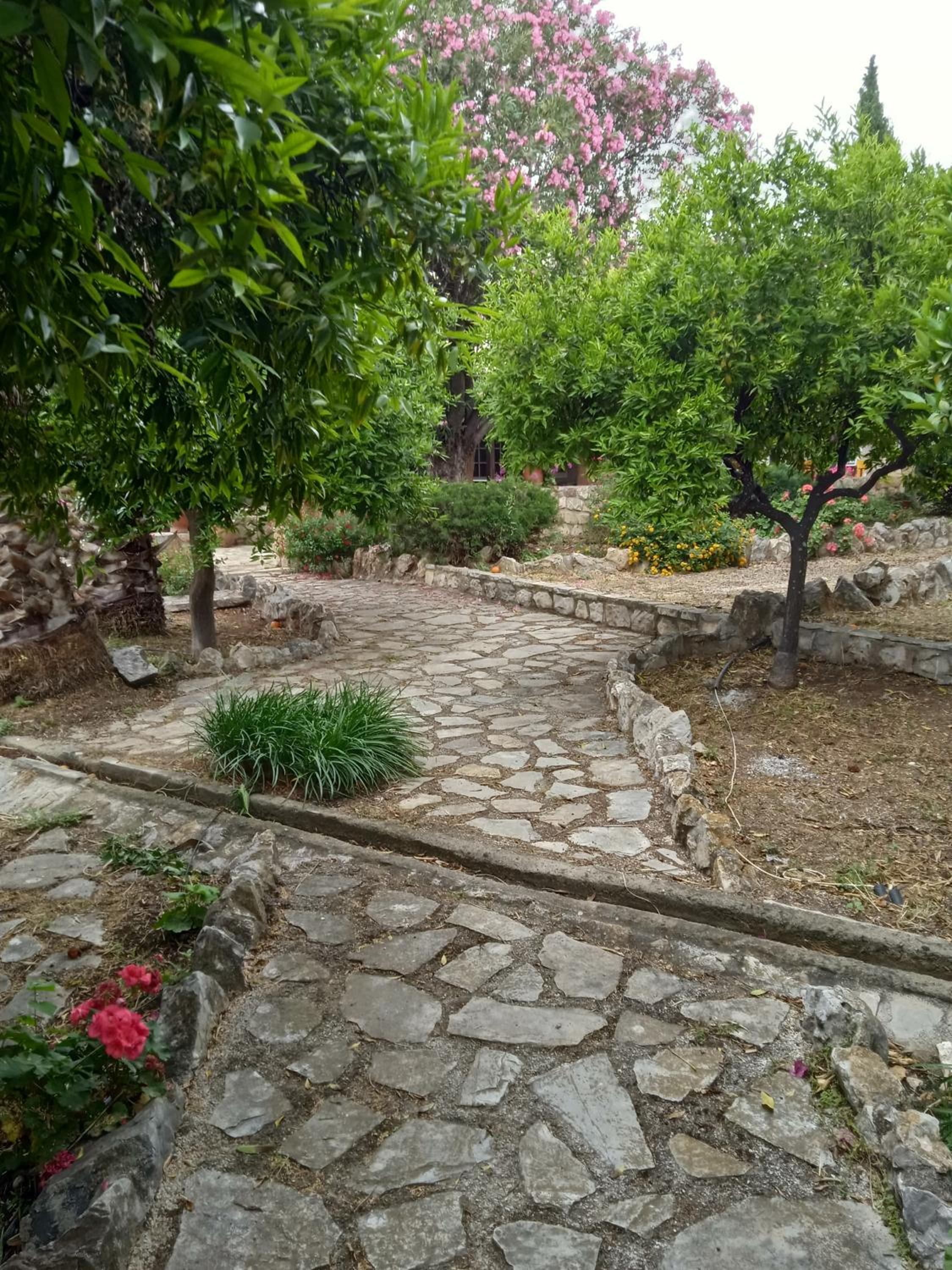 Photo 6