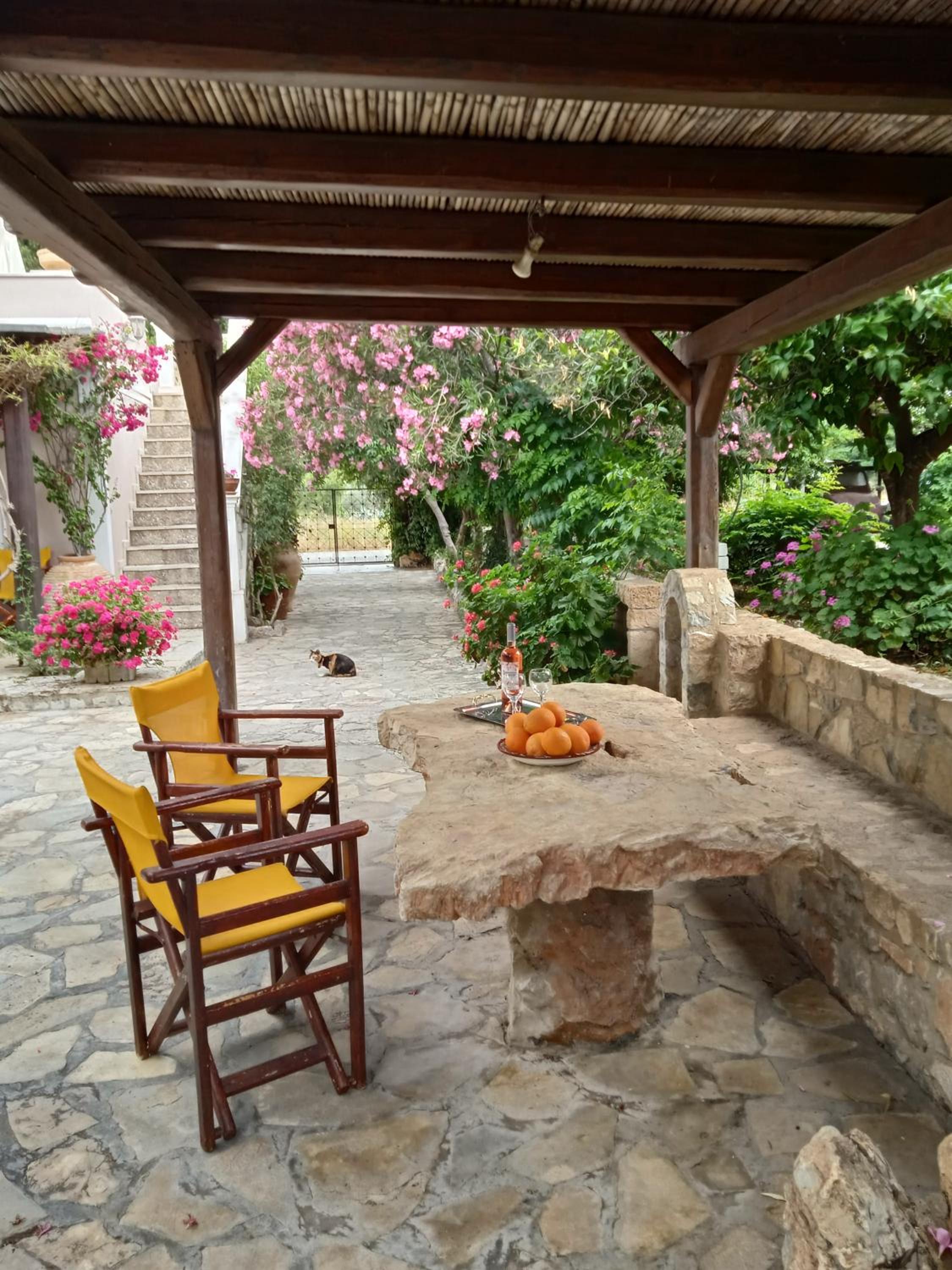 Photo 7