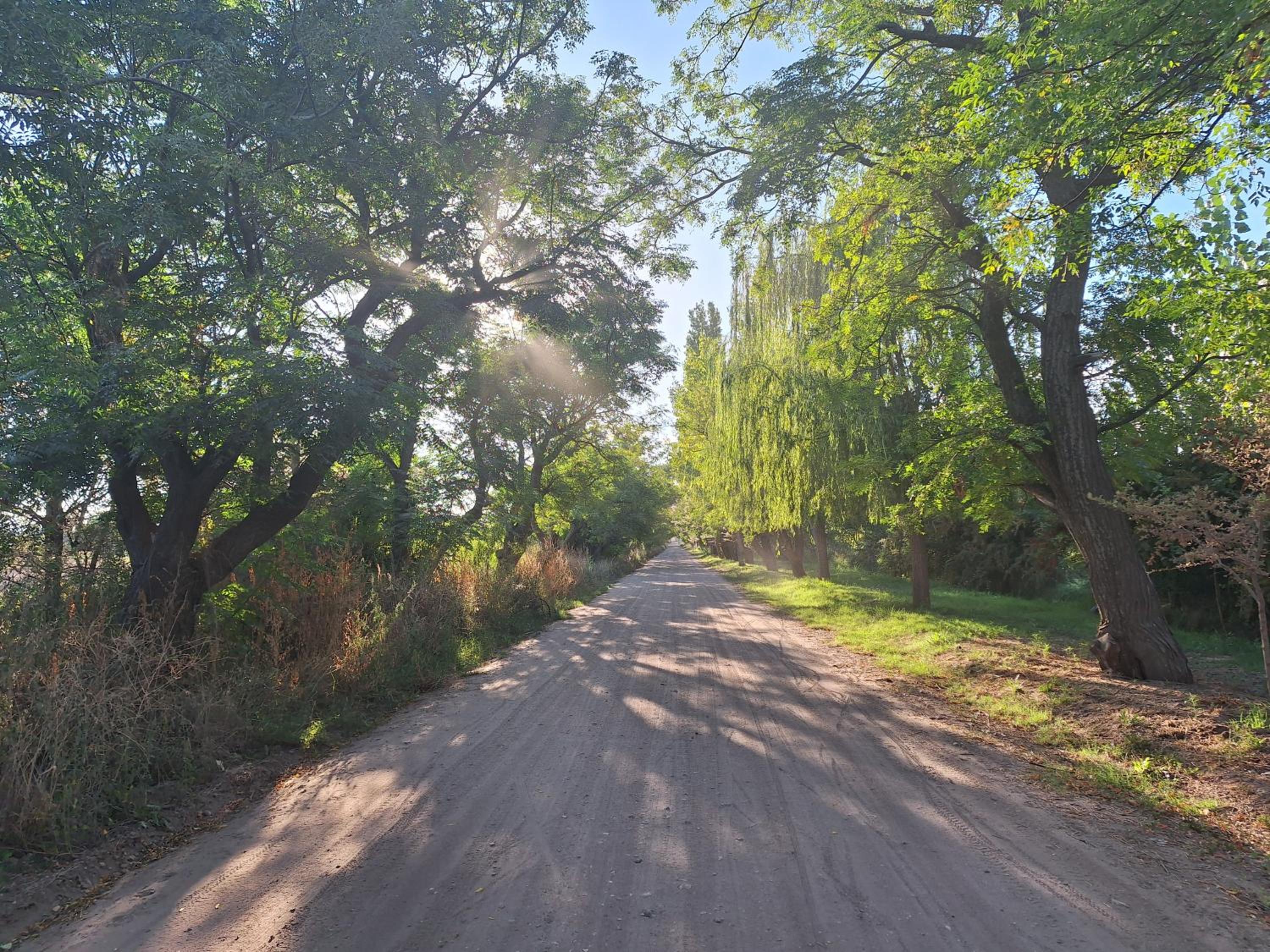 Un lugar en Benegas