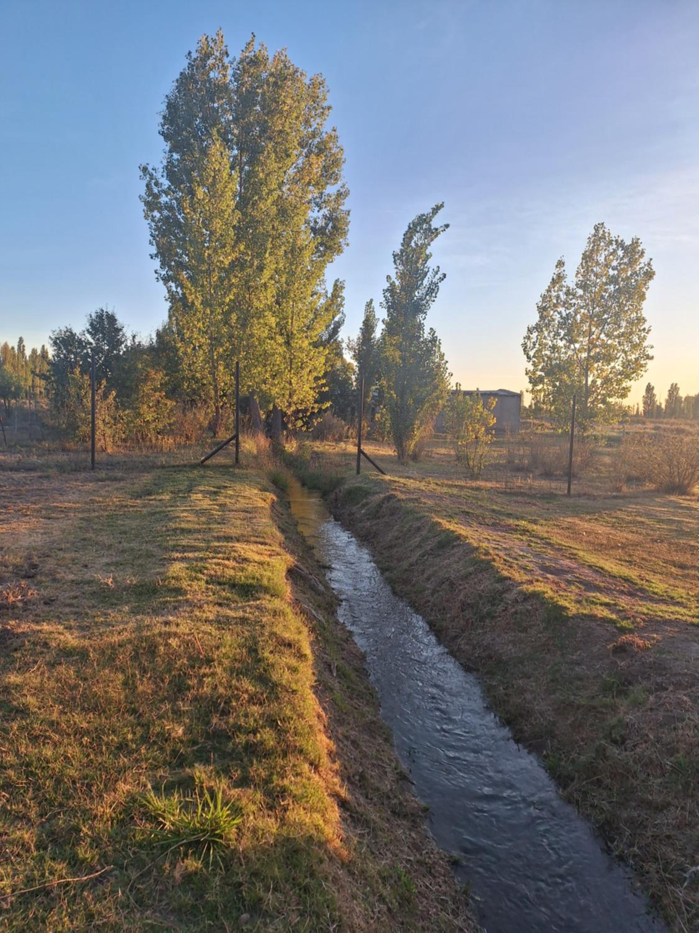 Un lugar en Benegas