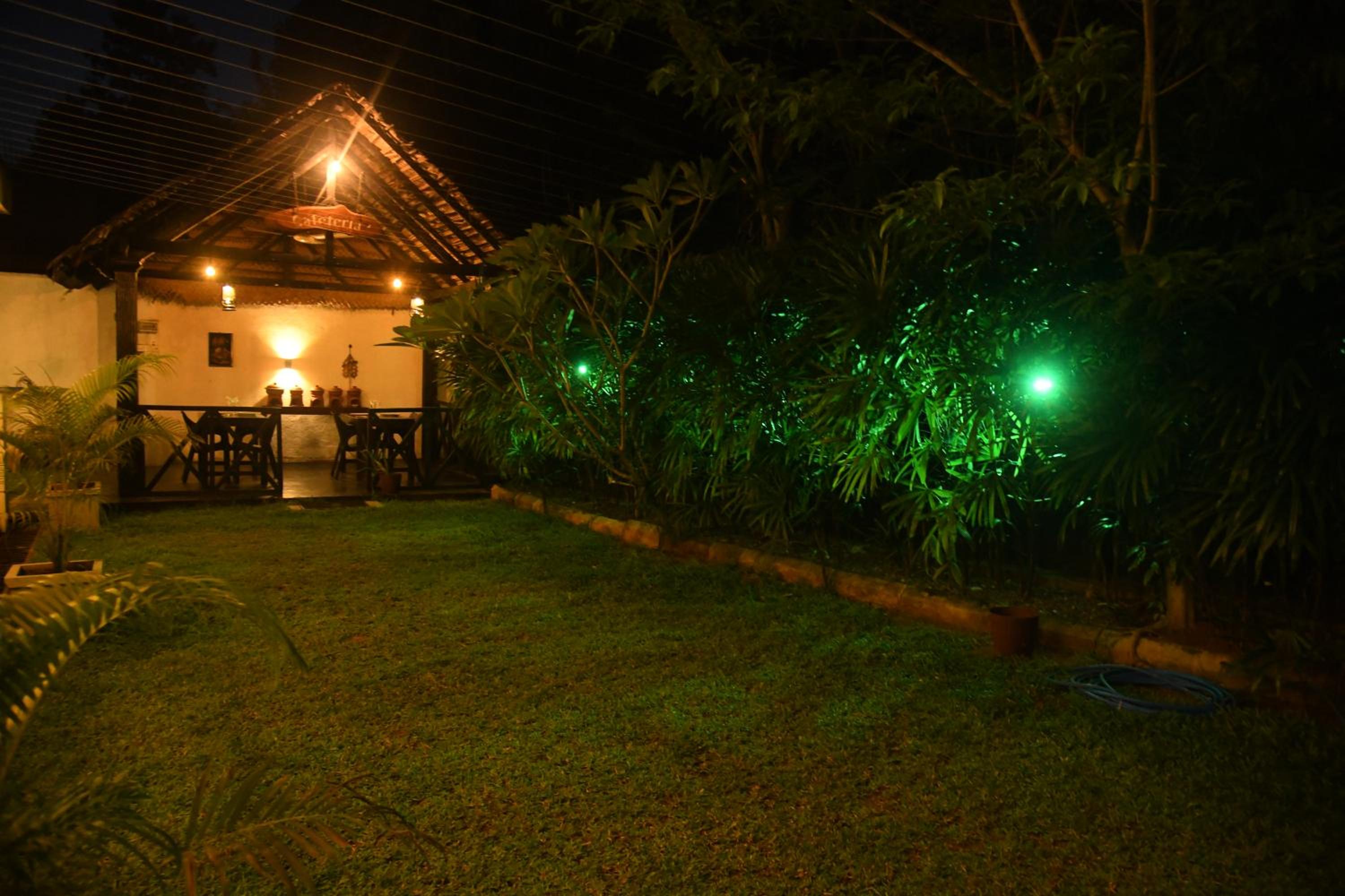 Photo 43