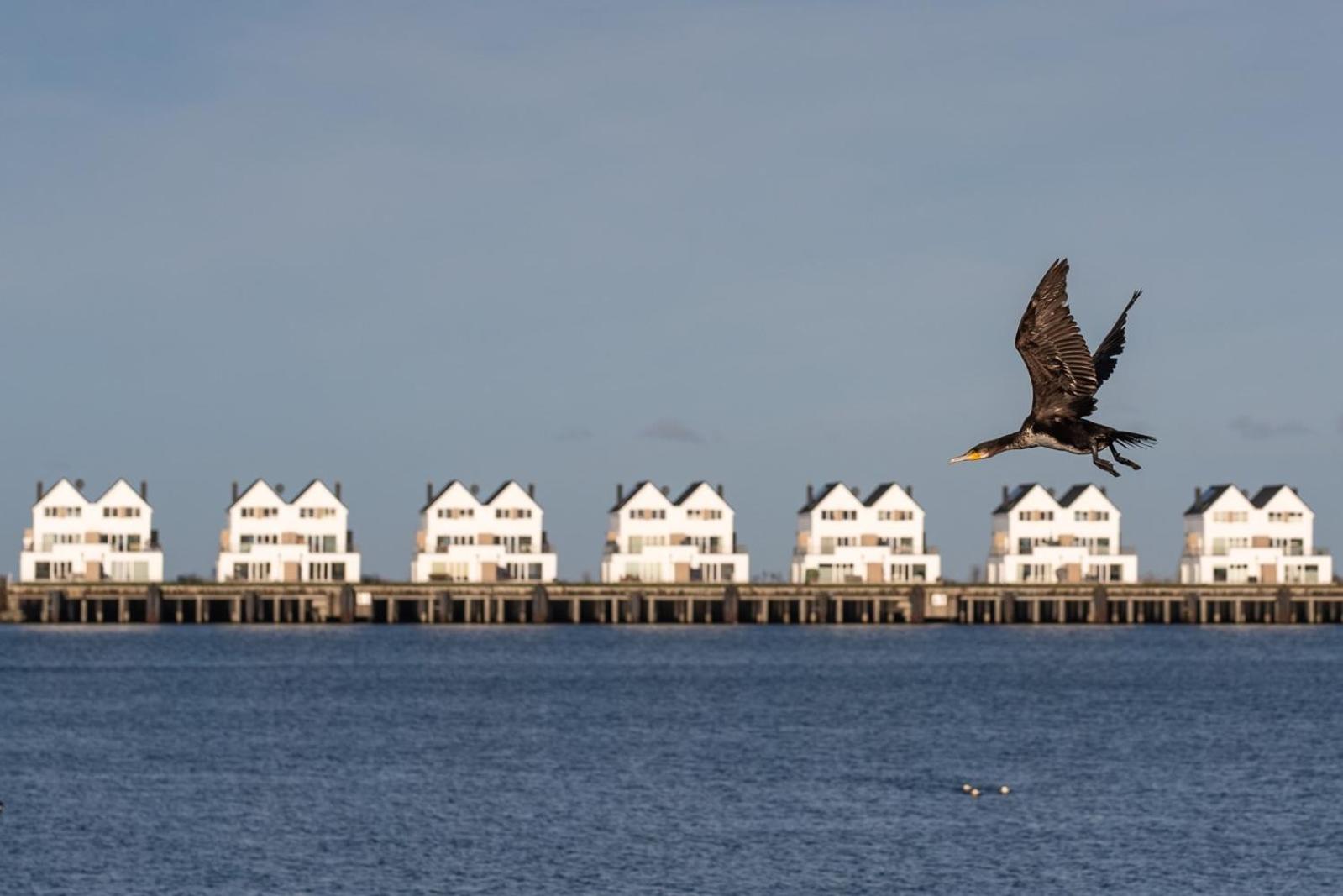 Ferienwohnung Schlei & Meer Olpenitz