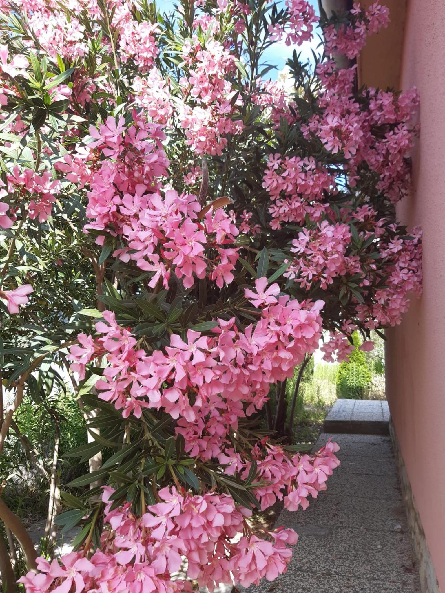 Mediterranean House view 5