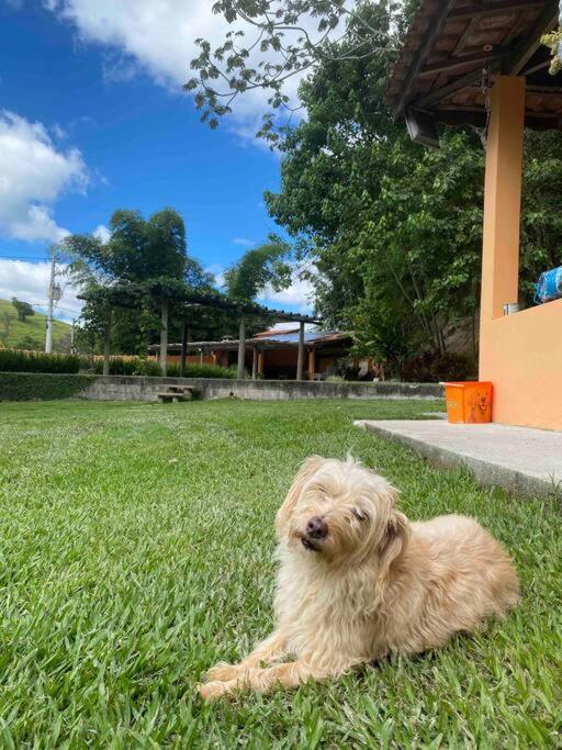 Sítio em Guararema