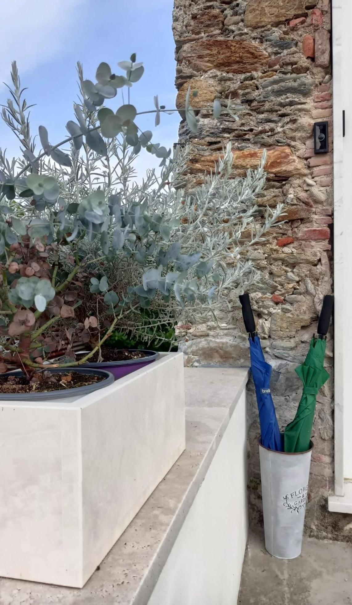 La casina Versilia view 2