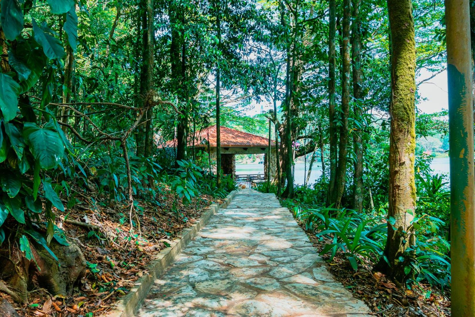 La Perezosa en Cerro Azul - Somos Pet friendly