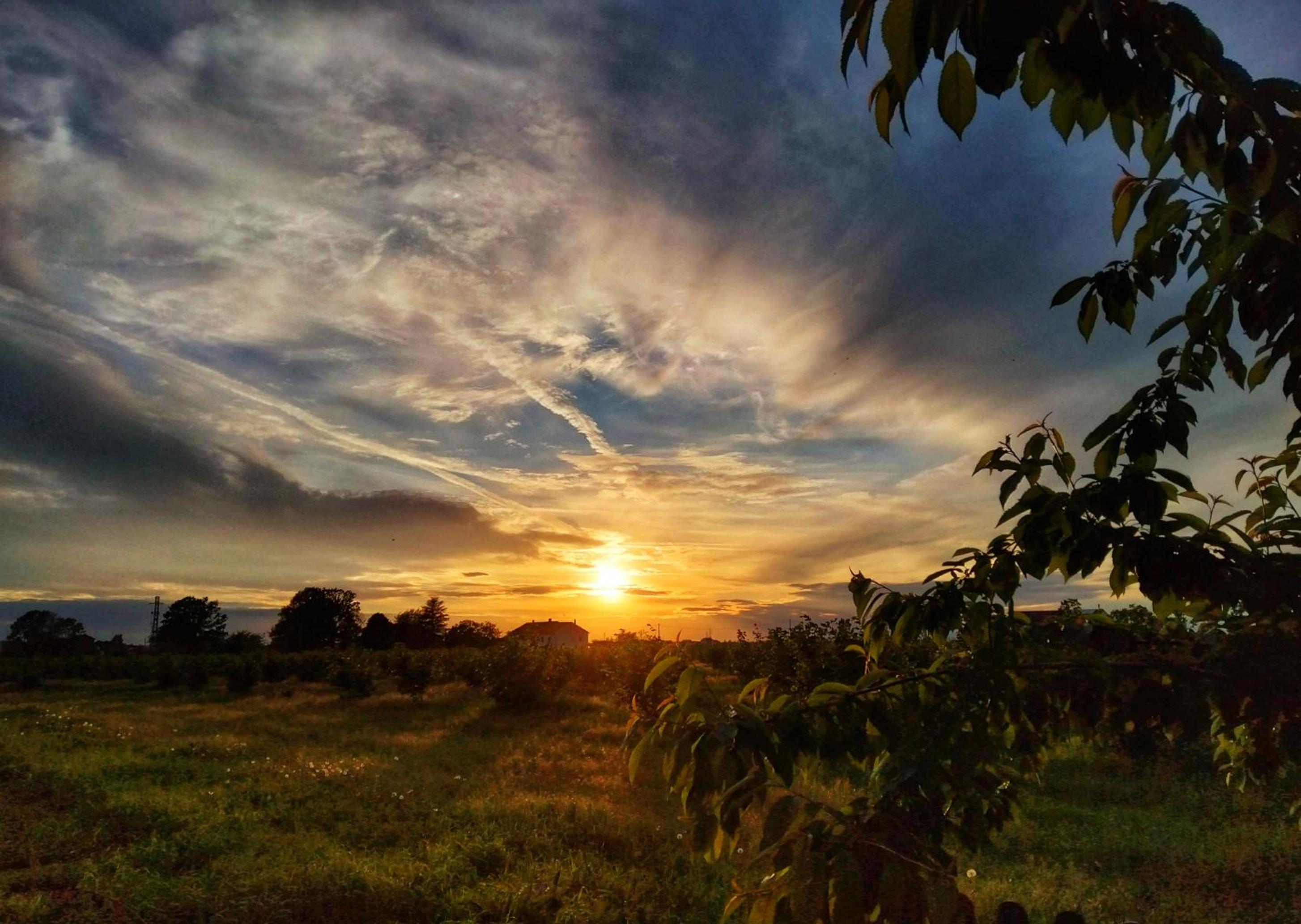 La Fattoria del Soul view 2