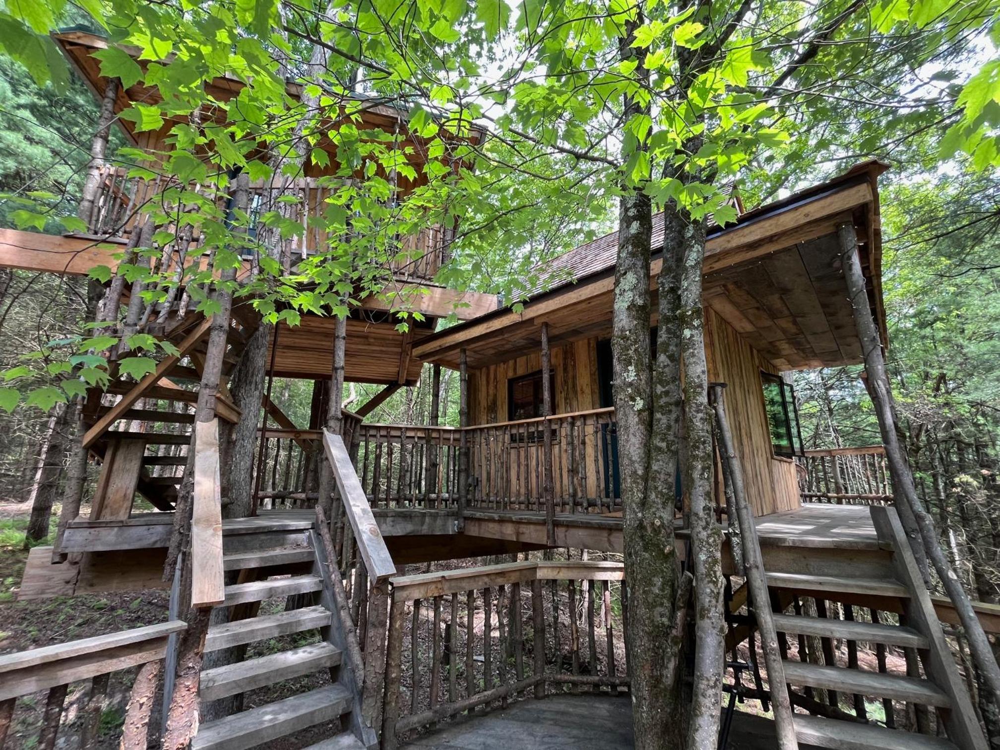 Little Birds Treehouse view 3