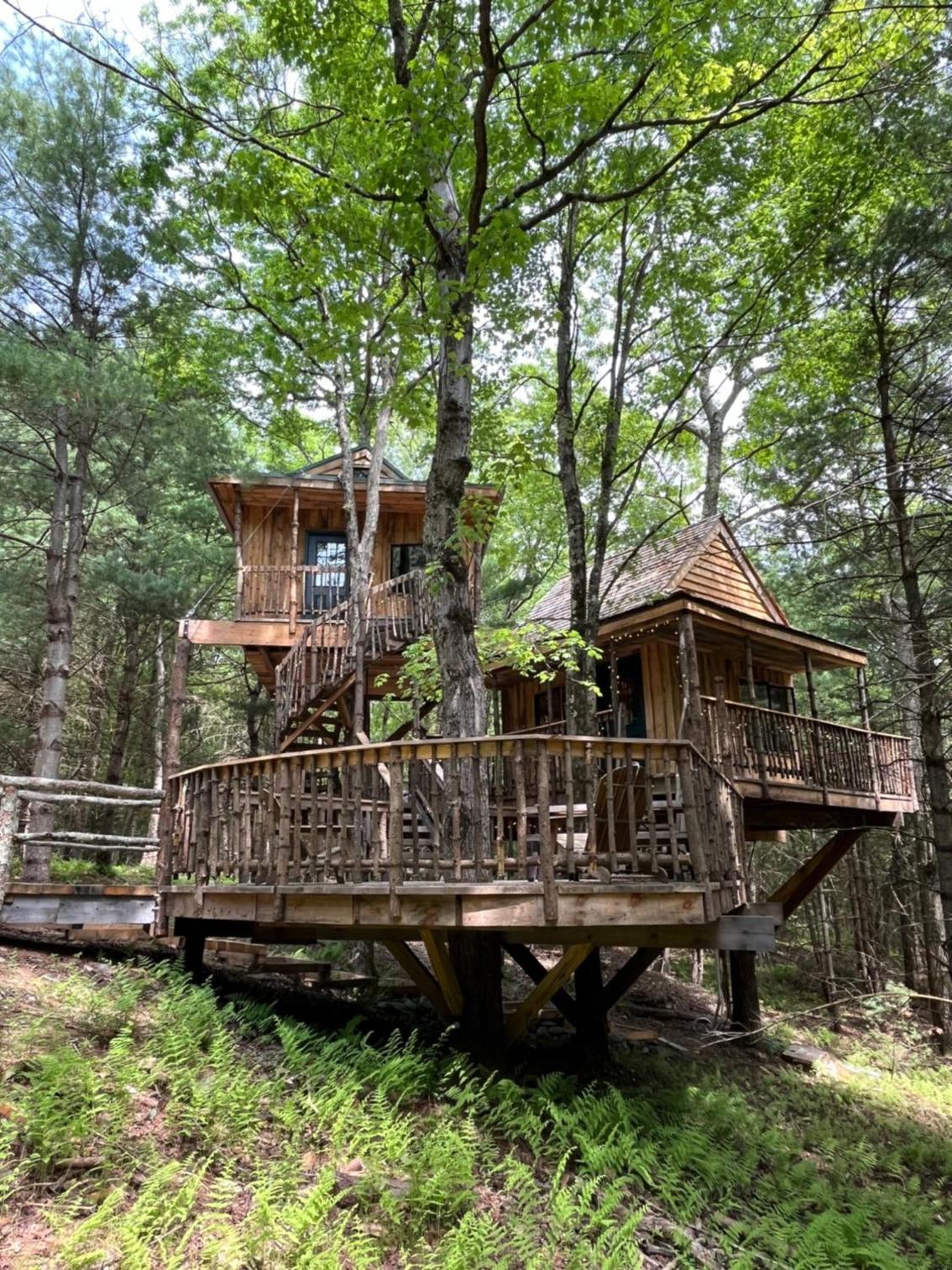 Little Birds Treehouse view 2