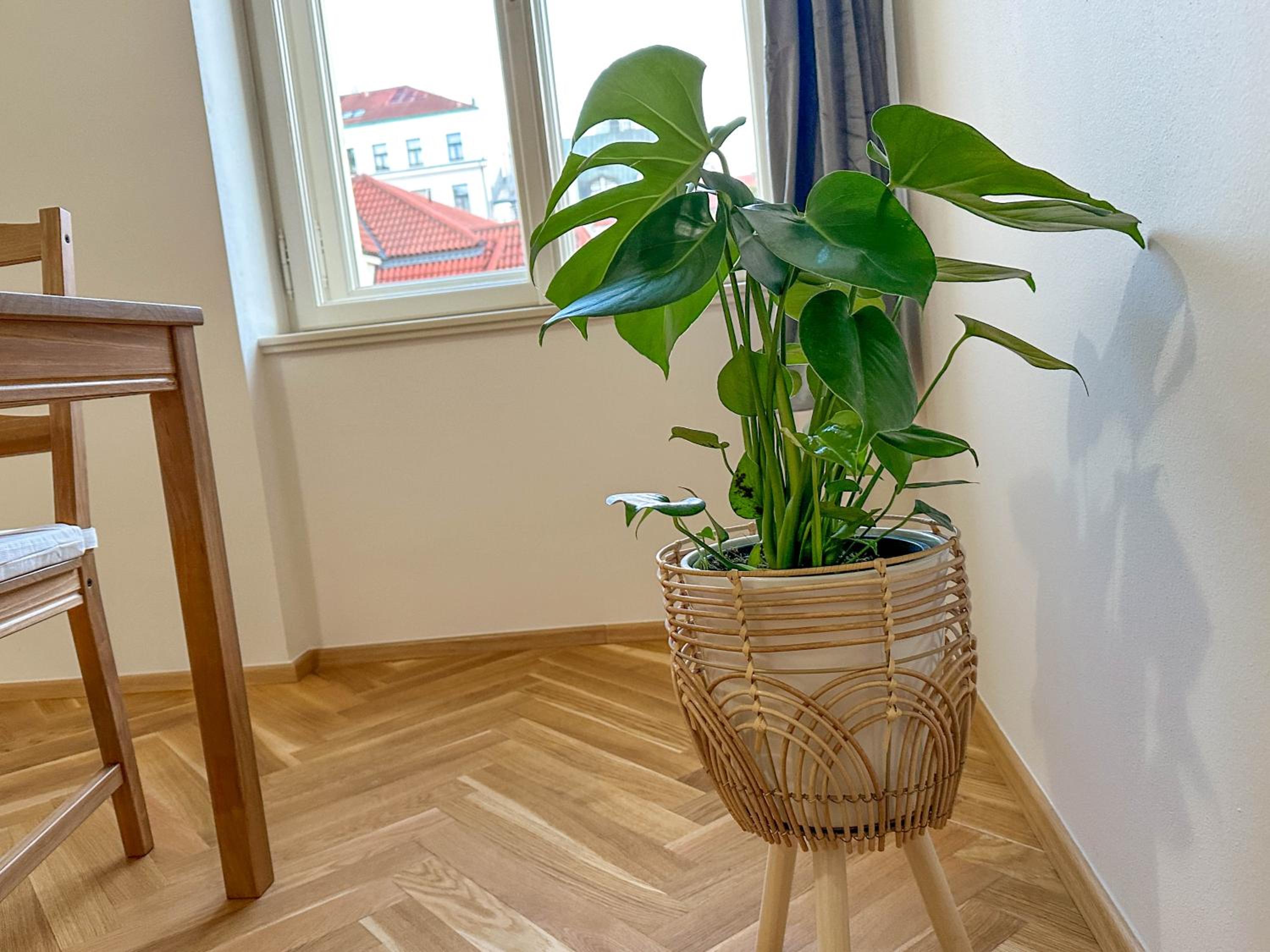 Stylish Apartment Next To Wenceslas Square