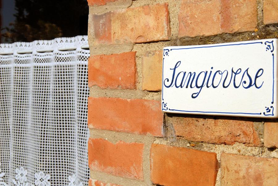 Tenuta Santagnese