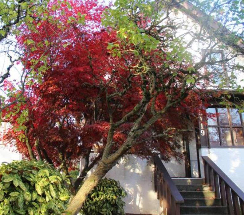 John's House in Vancouver West