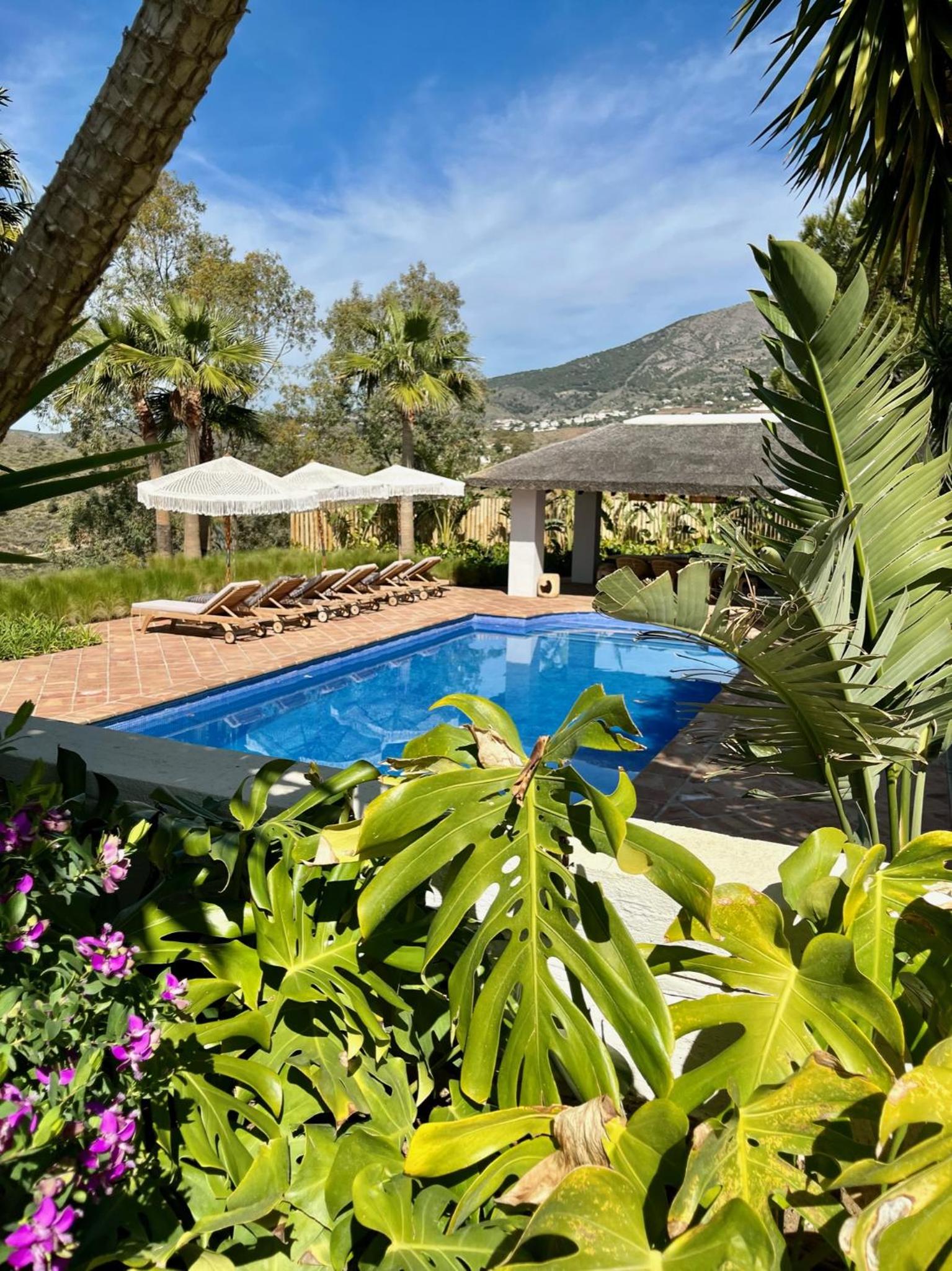 Finca Mis Alas