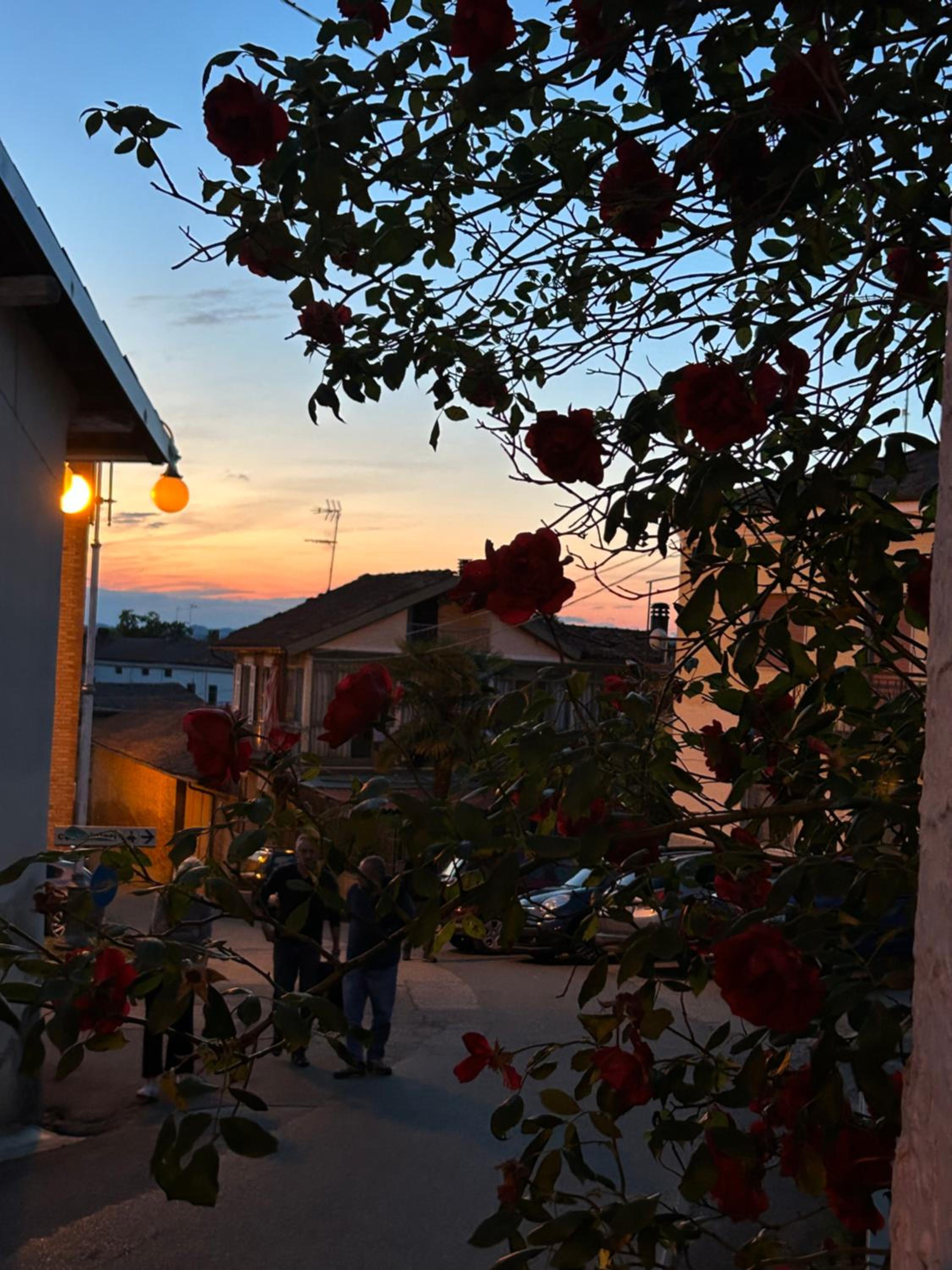 Al Vicolo Uno