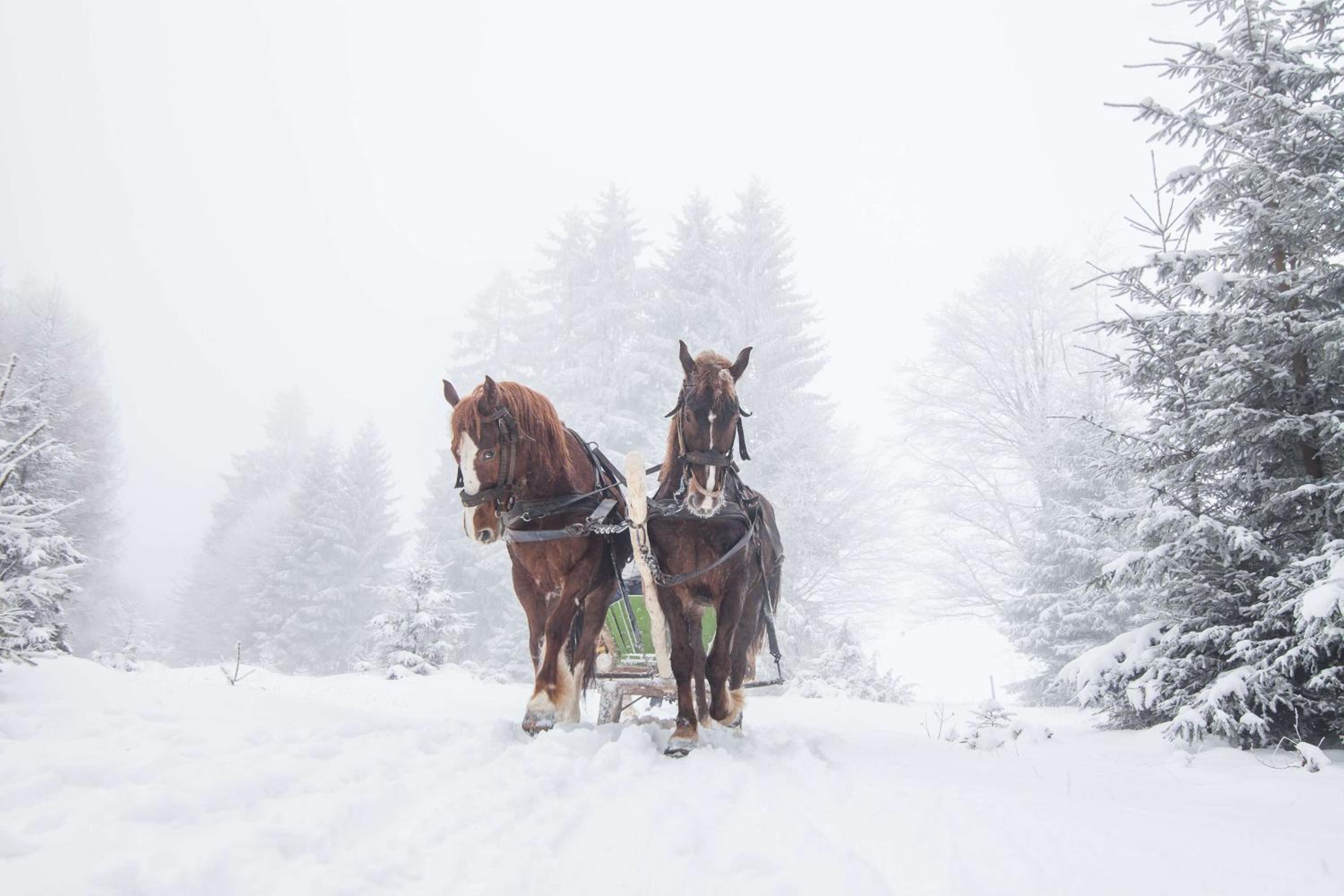 Waldorf Astoria Park City 13