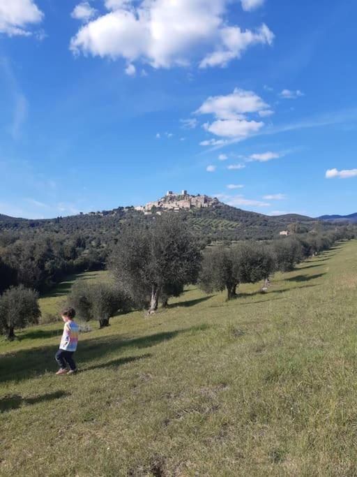 Pietre Focaie - Campagna&Relax