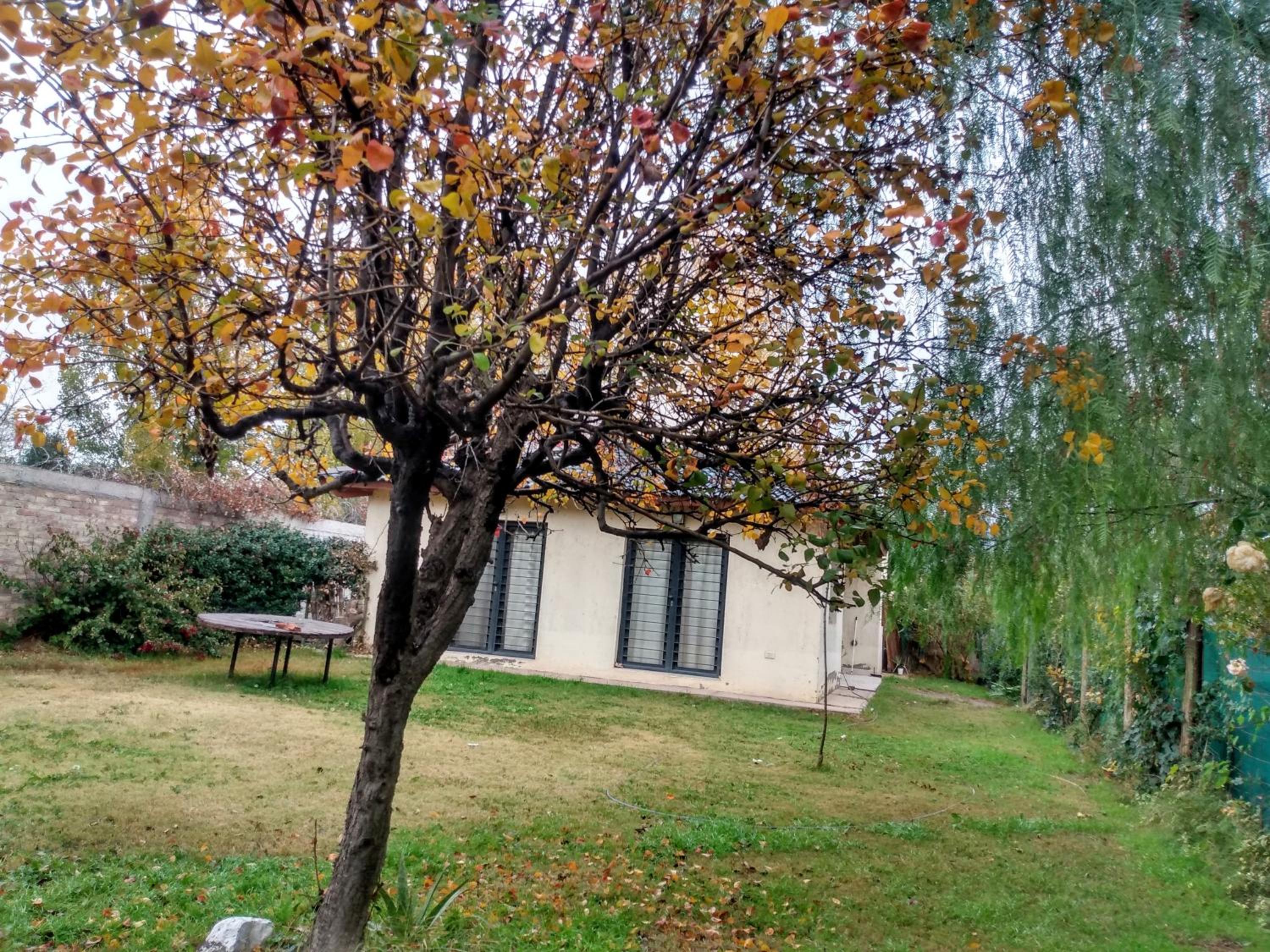casa los ciruelos