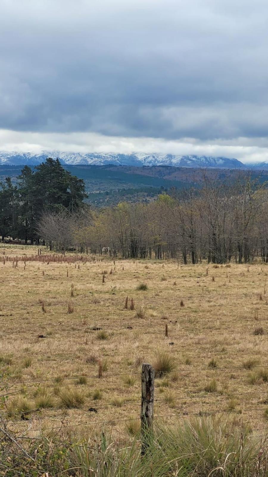 Rancho la alborada