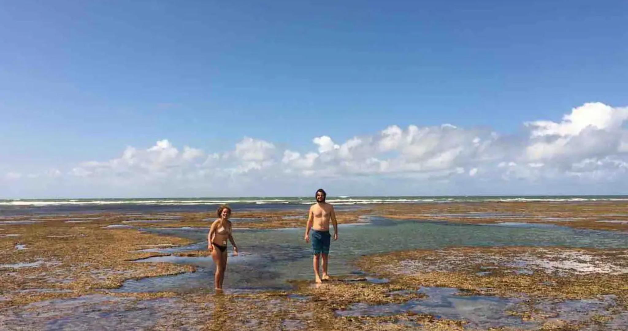 Casa inteira, pé na areia, conforto, frente mar, Itacimirim, Bahia