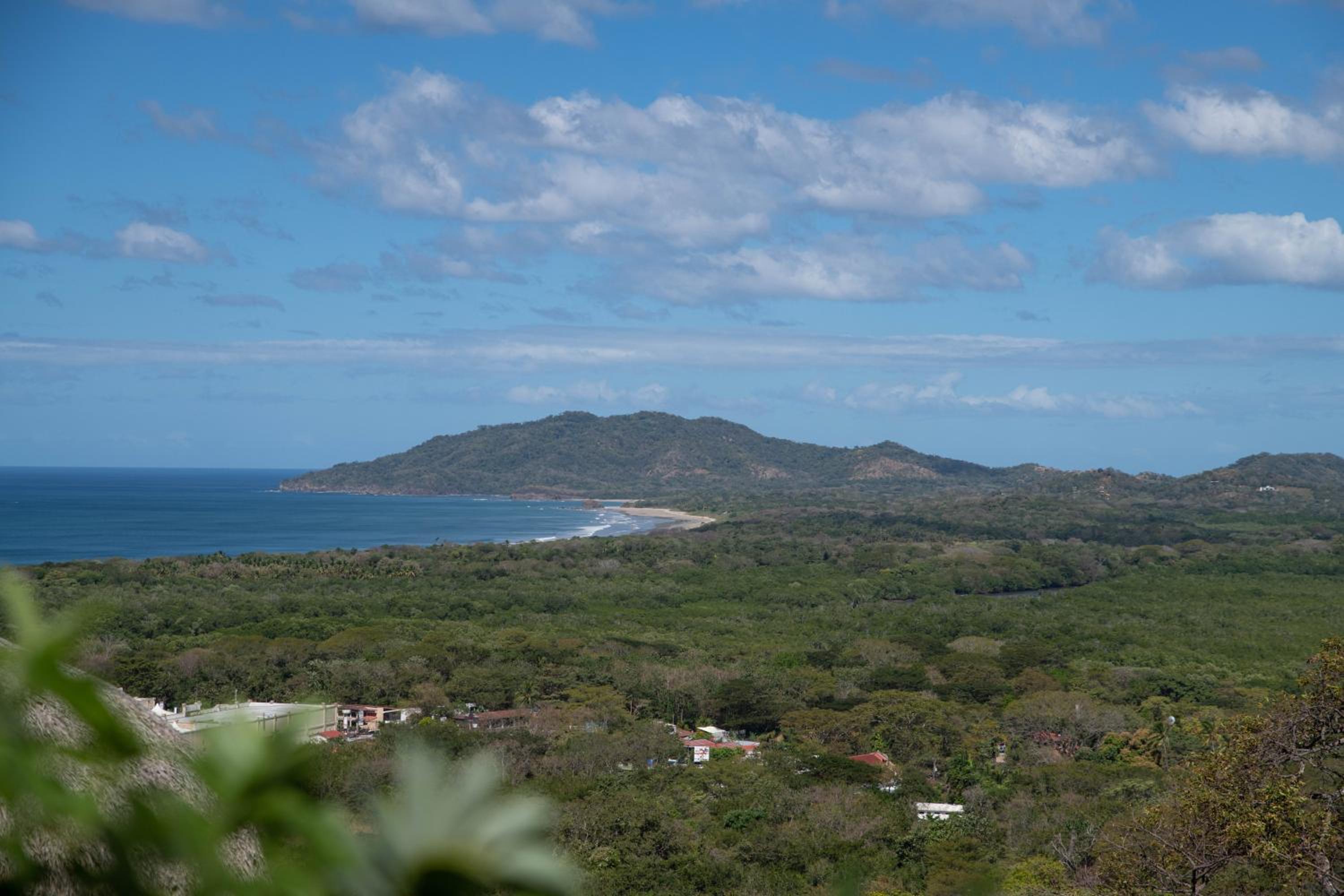 C o c o o n Tamarindo