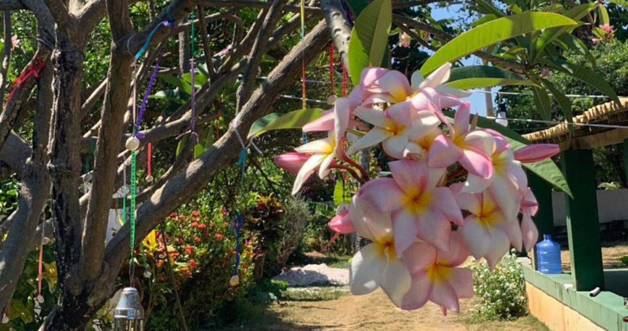 Casa inteira, pé na areia, conforto, frente mar, Itacimirim, Bahia