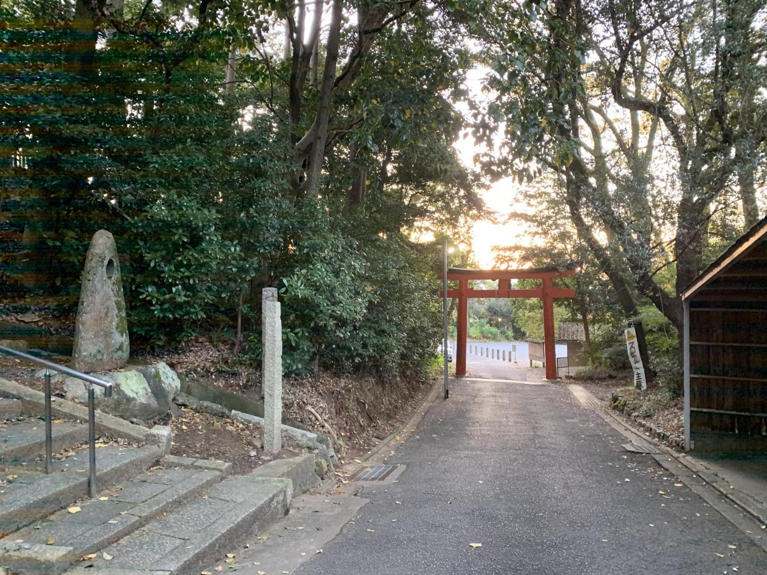 Photo 19