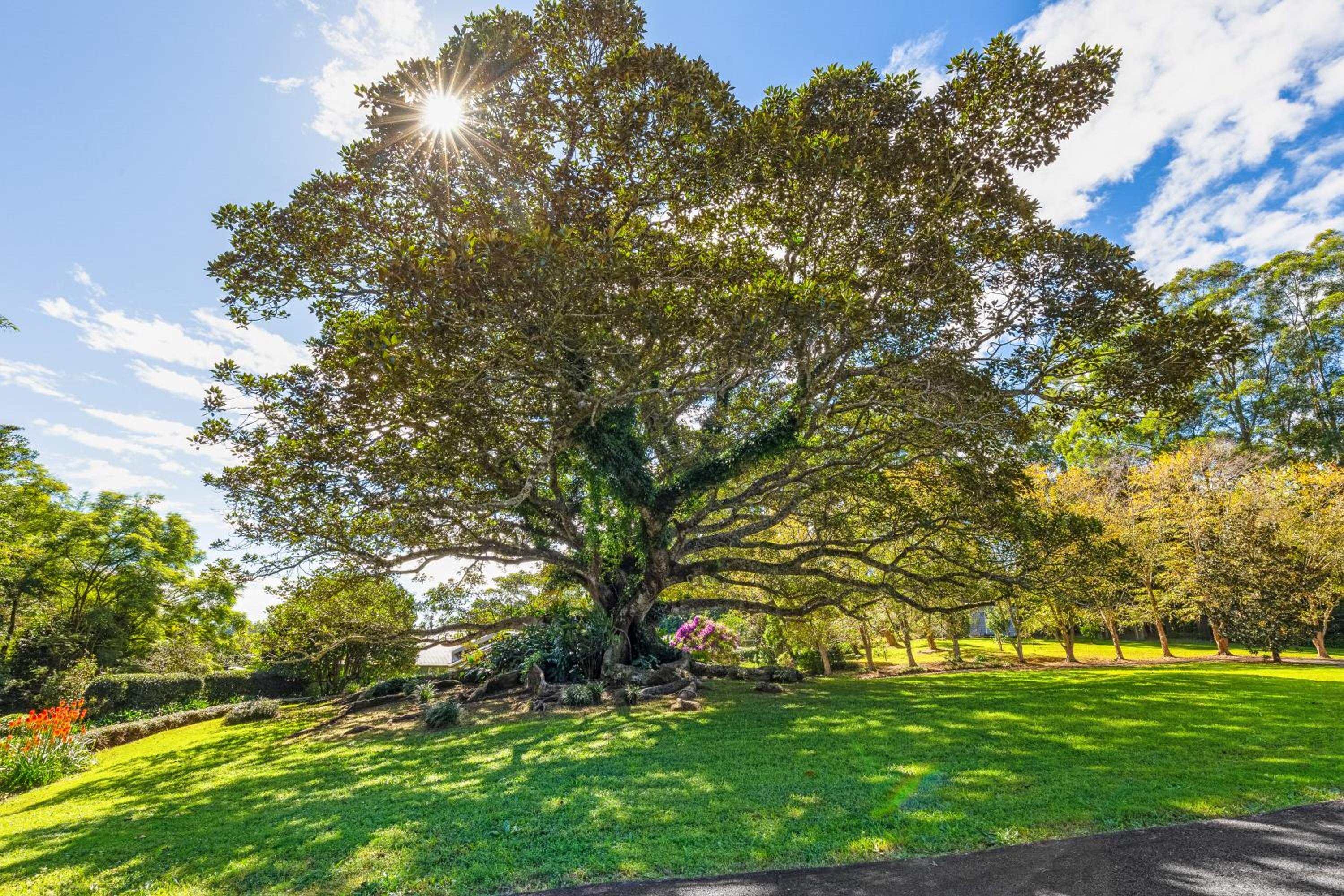 Gardners Ridge Estate