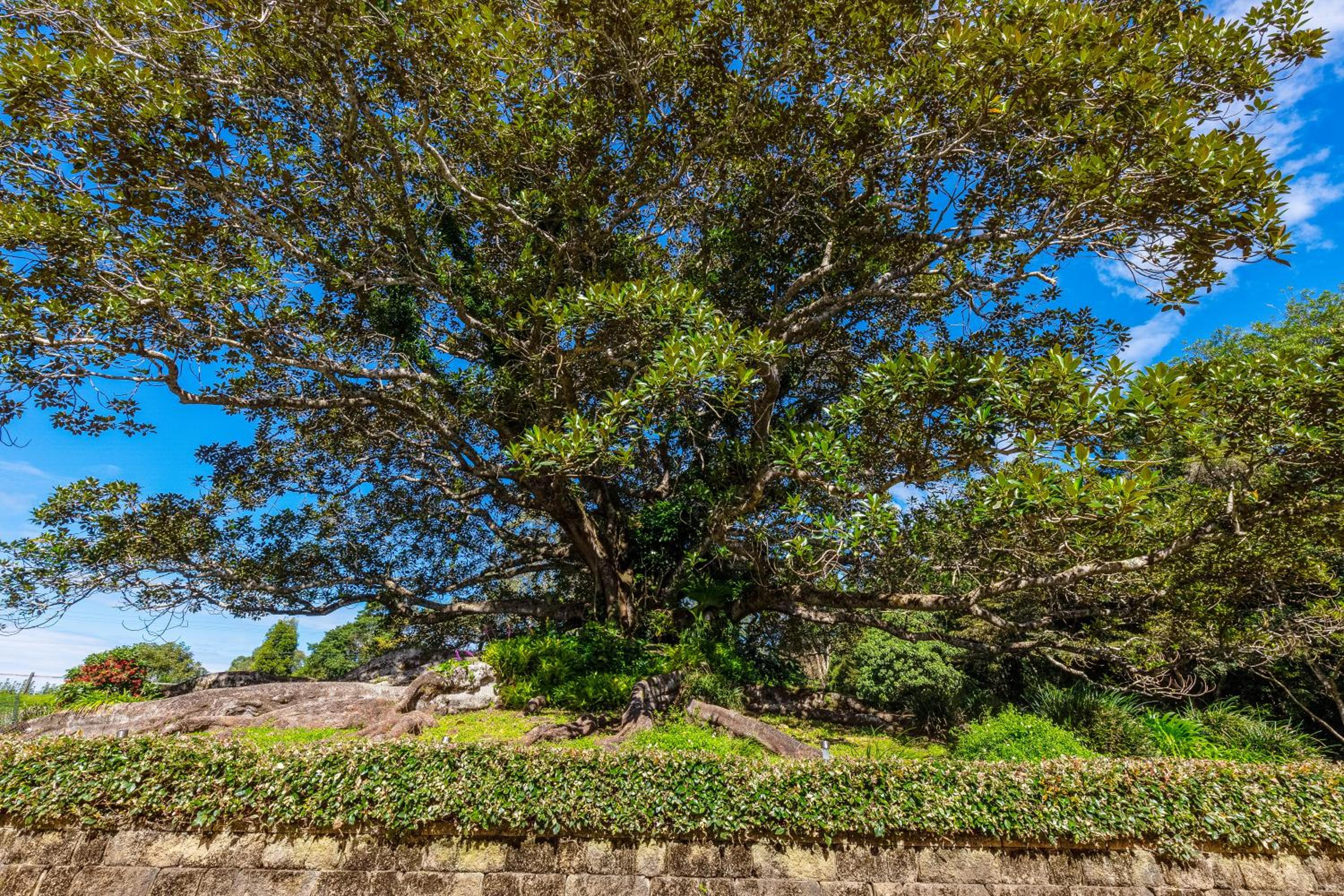 Gardners Ridge Estate
