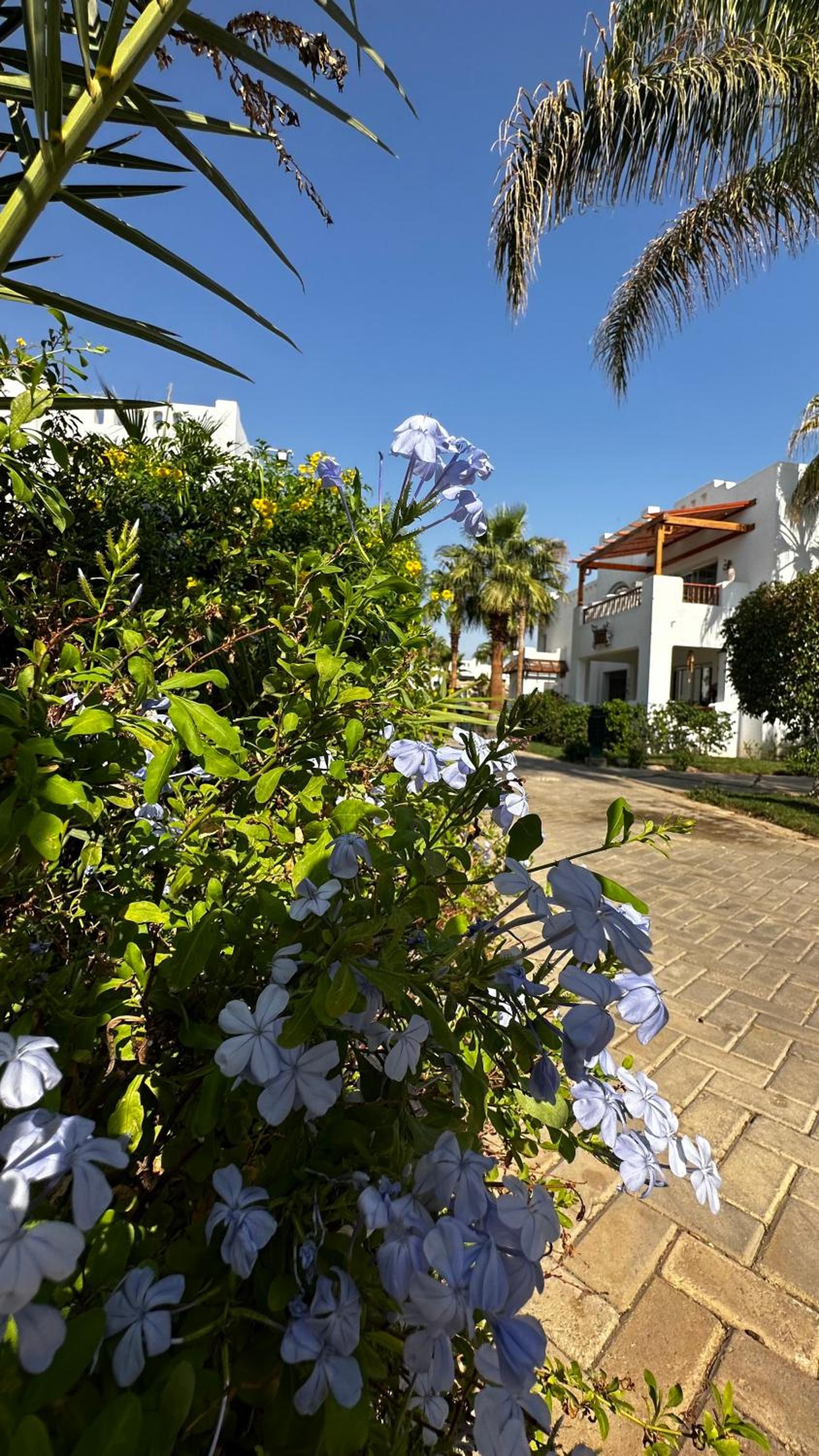Apartment in Sharm el Sheik