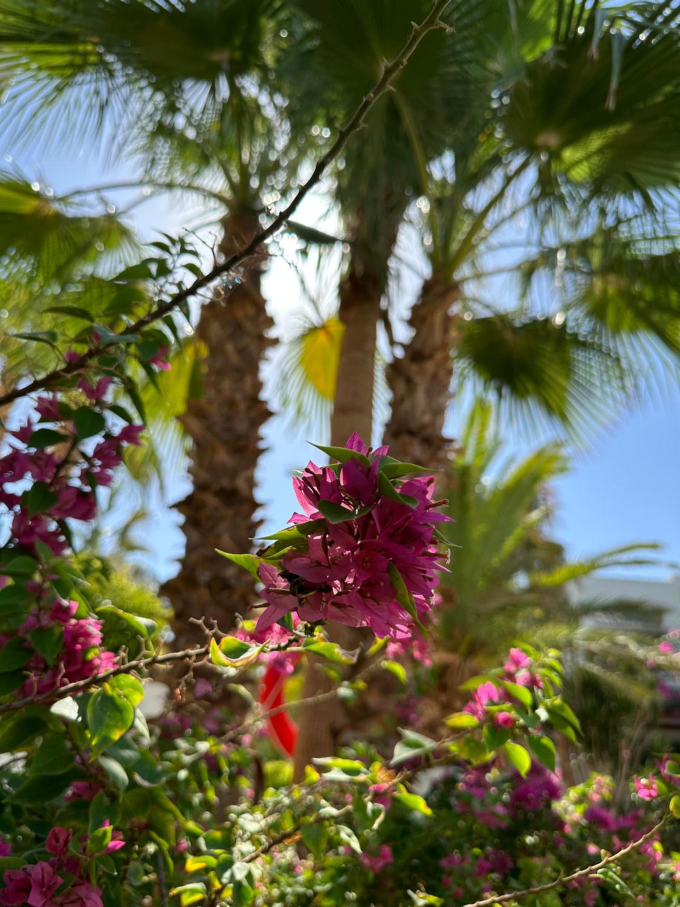 Apartment in Sharm el Sheik